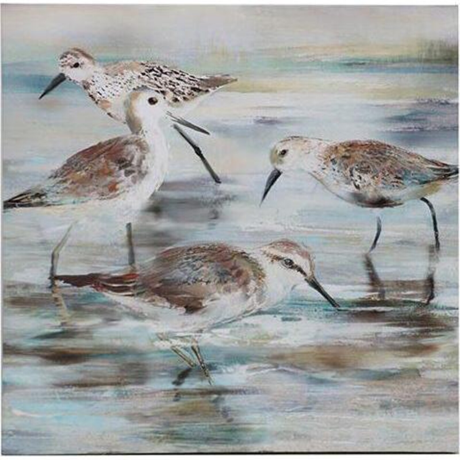 Canvas Print Sandpipers