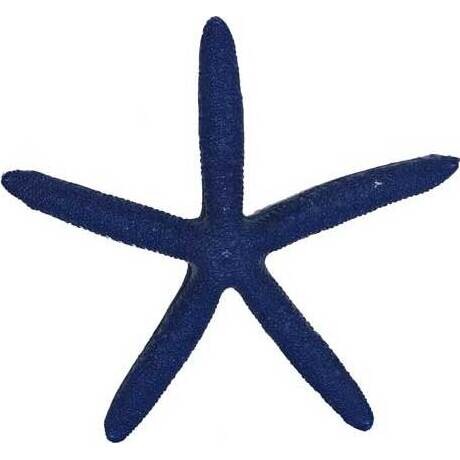 Starfish Navy