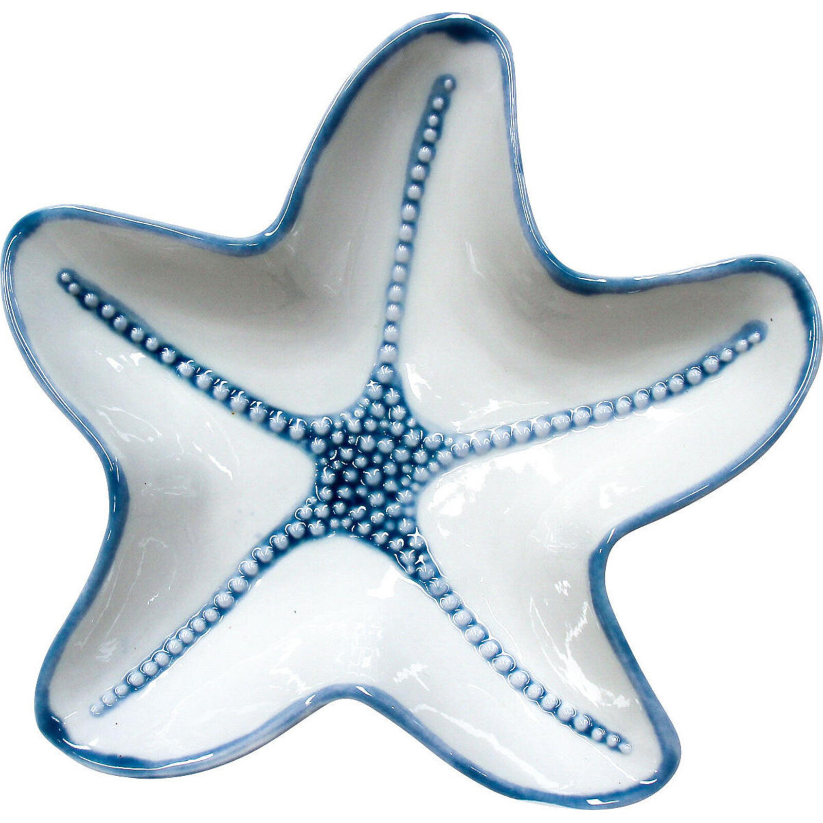 Starfish Plate Dot Blue Lrg