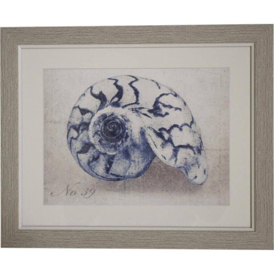 Framed Print Blue shell 2