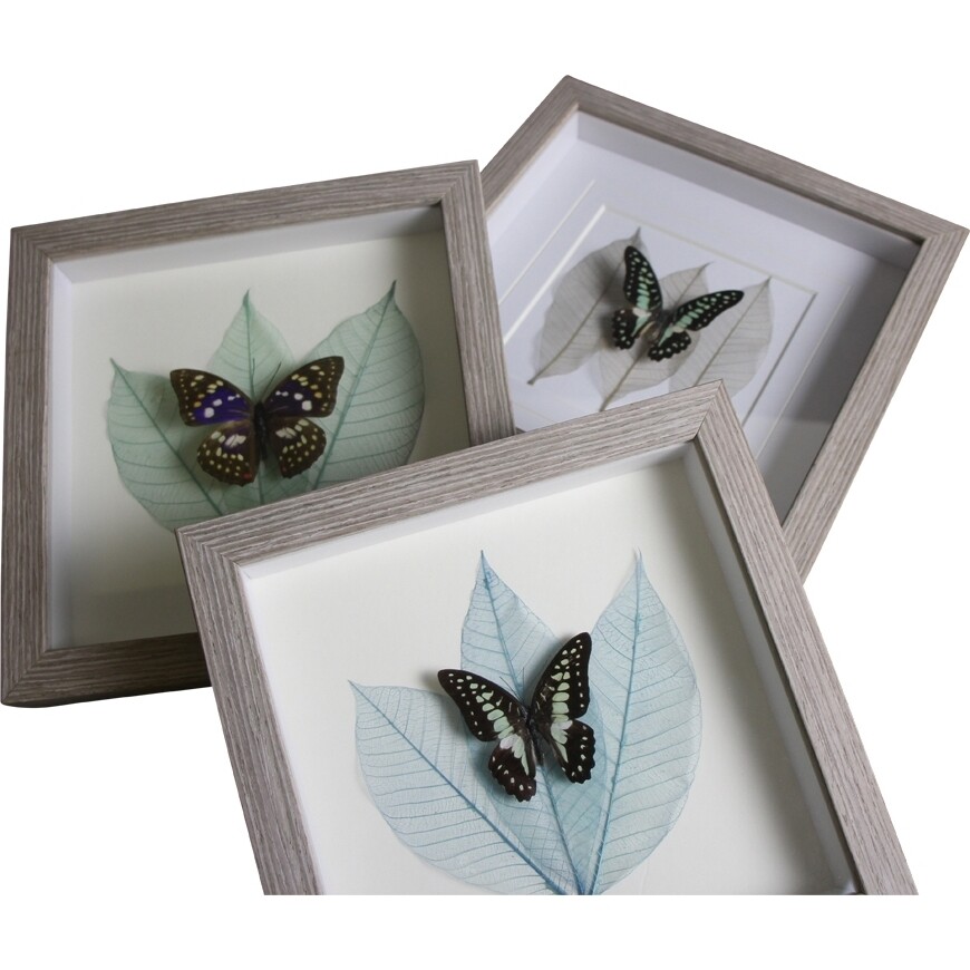 Framed Butterfly Wall Art 3