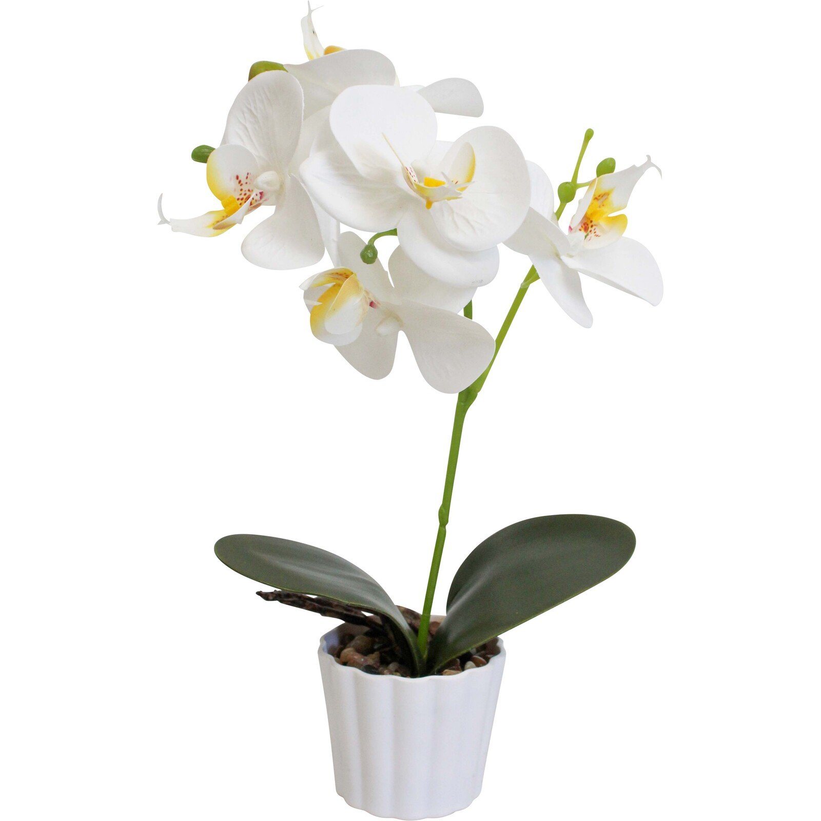 Faux Orchid Sml White