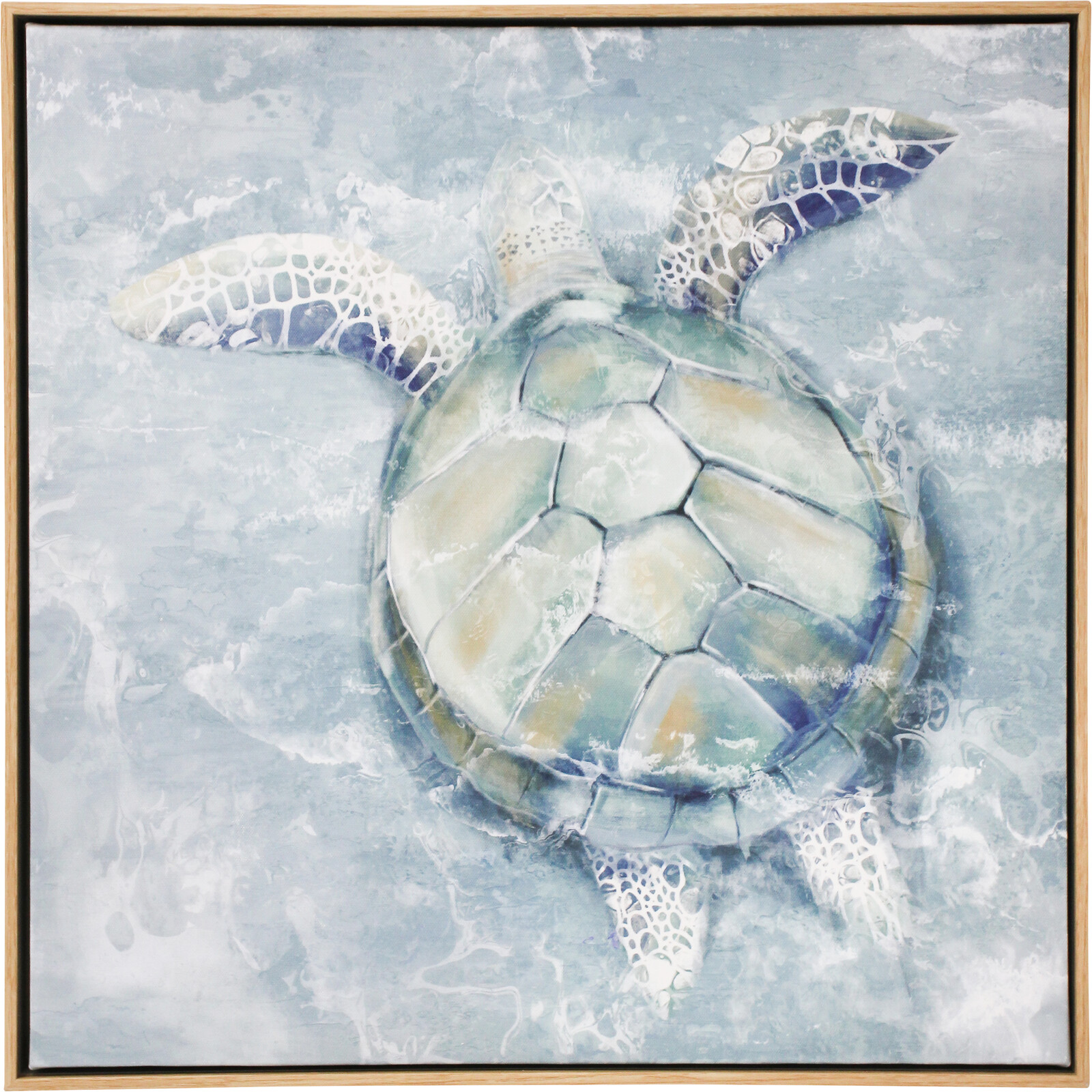Framed Canvas Turtle