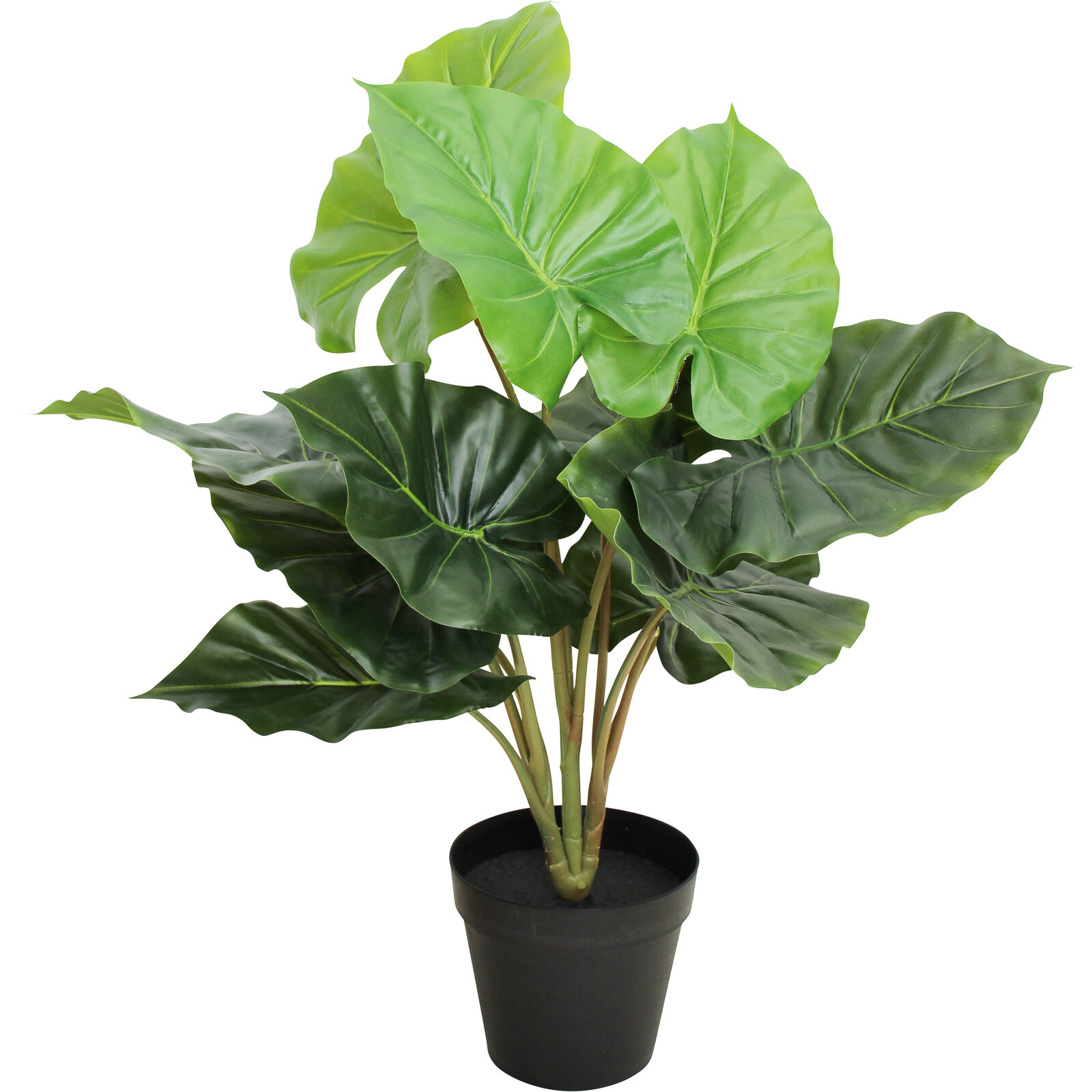 Faux Plant Elephant Ears