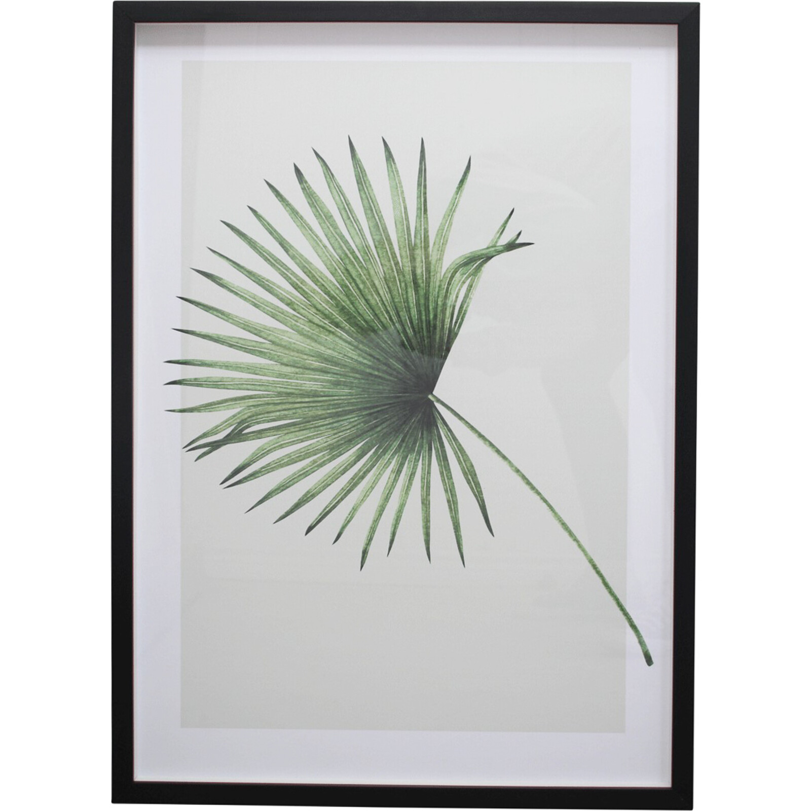 Framed Print Botanical 1