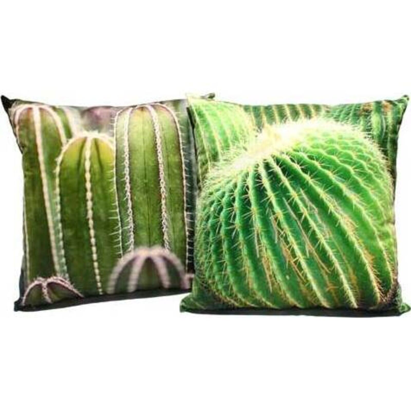 Cactus Cushion 