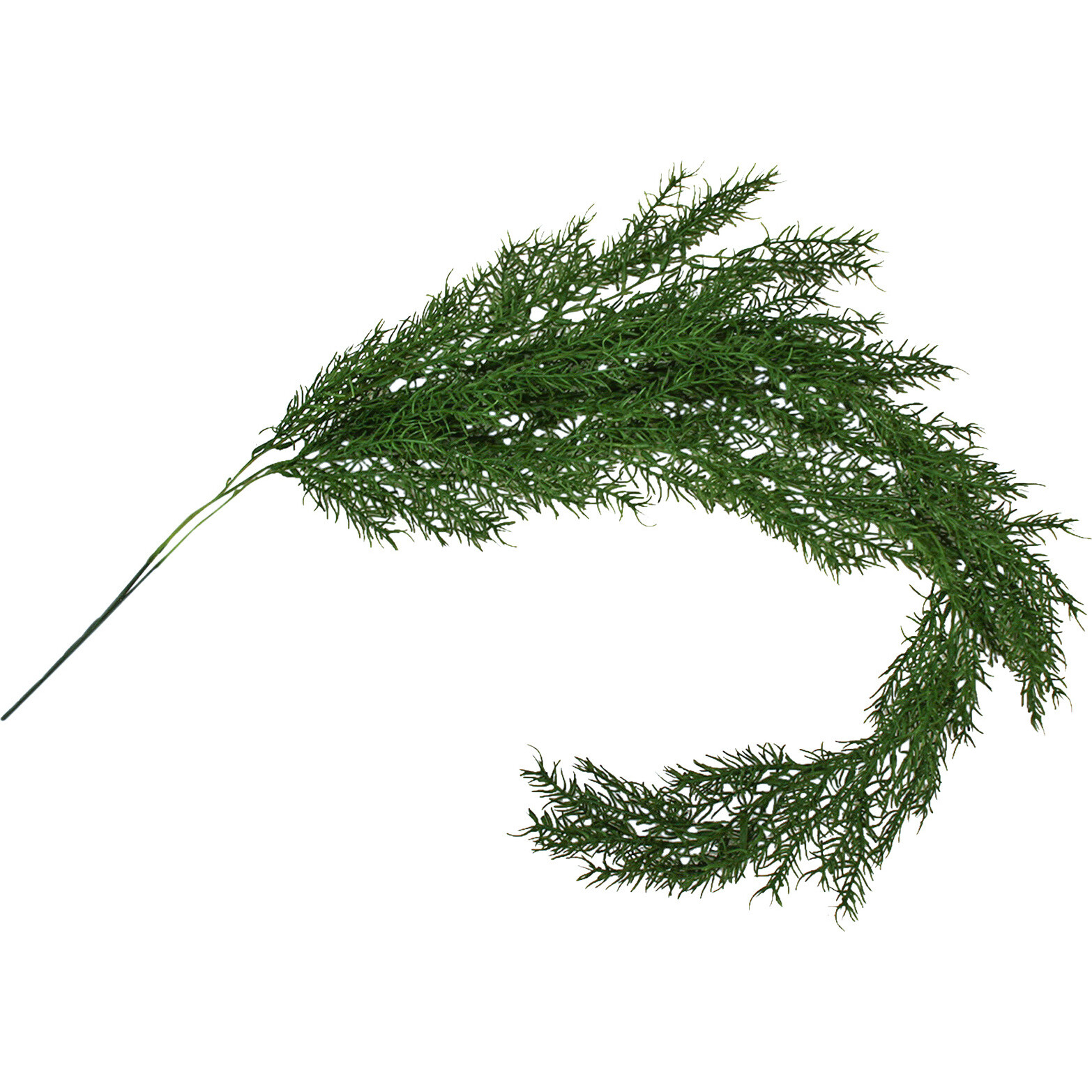 Hanging Pine Needles