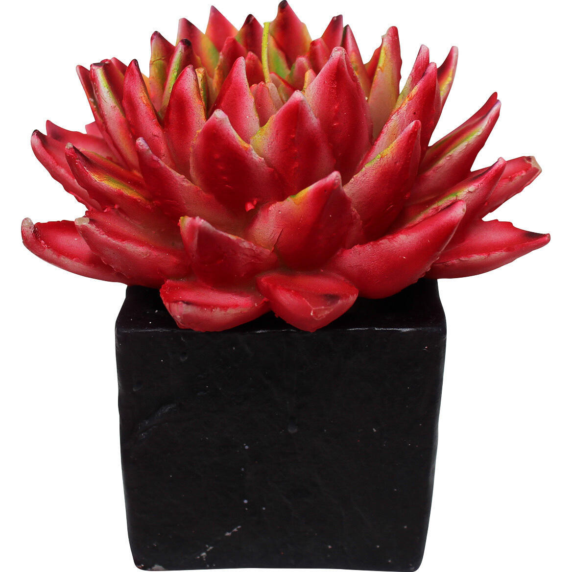 Candle Succulent Pot Burg 