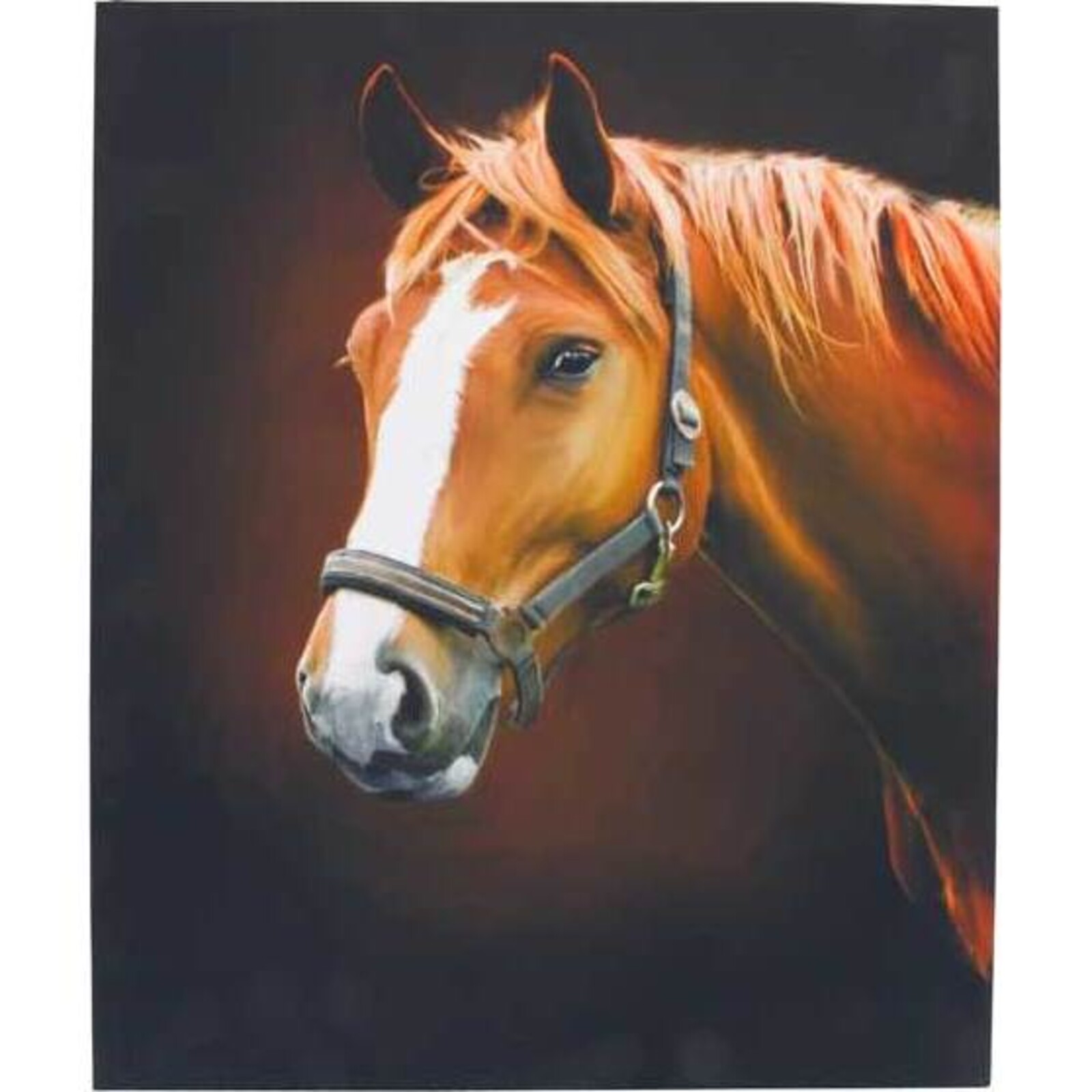 Canvas Blaze Horse
