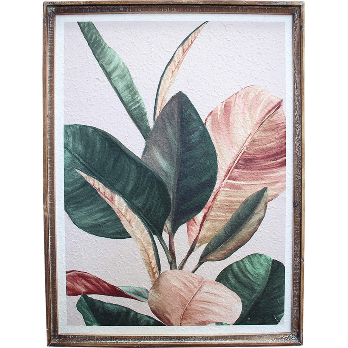 Framed Rubber Plant 2