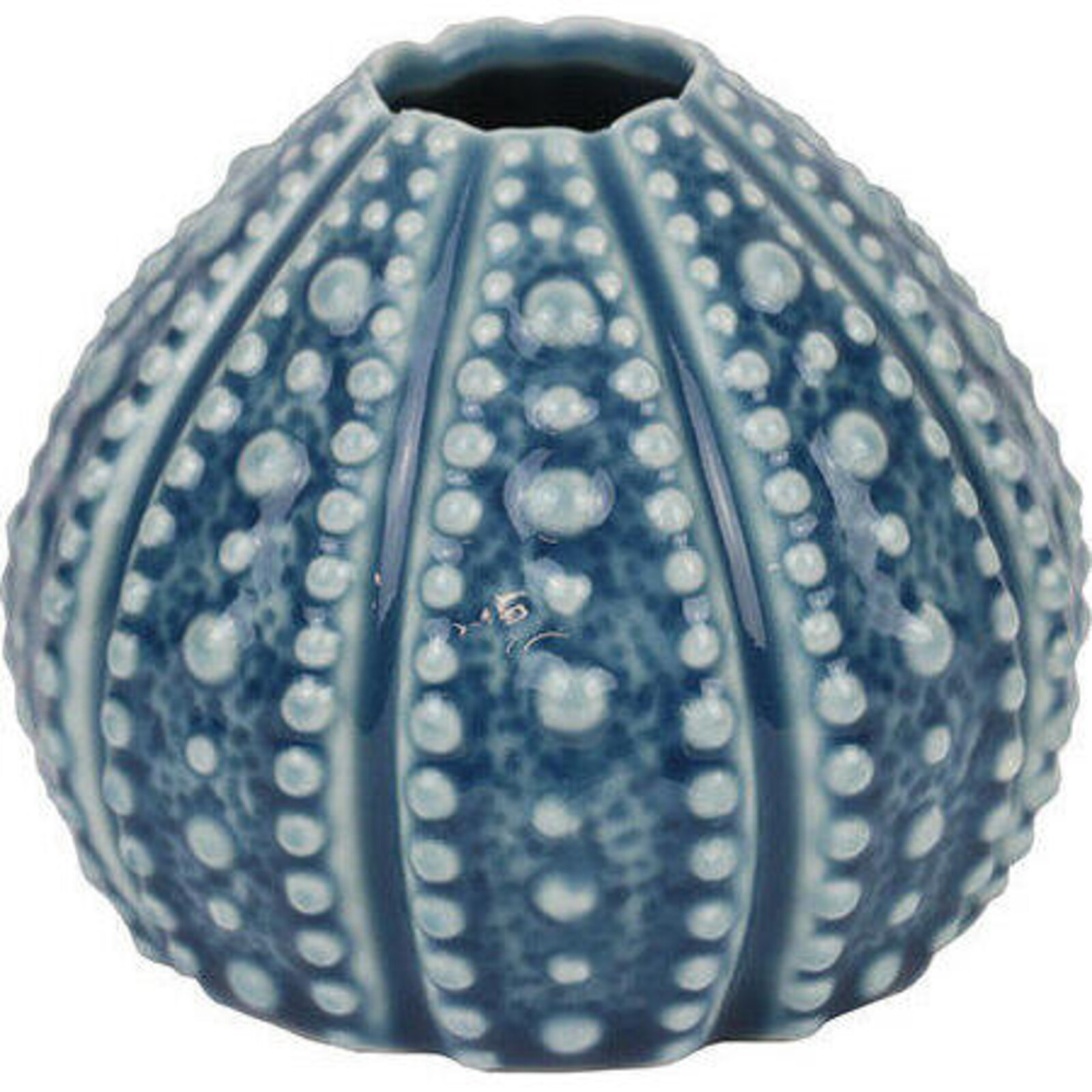 Vase Urchin Dot