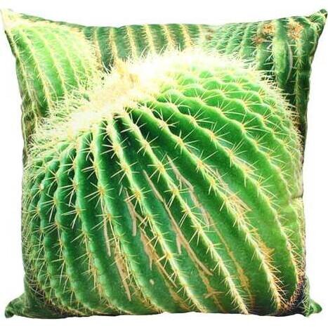 Cactus Cushion 