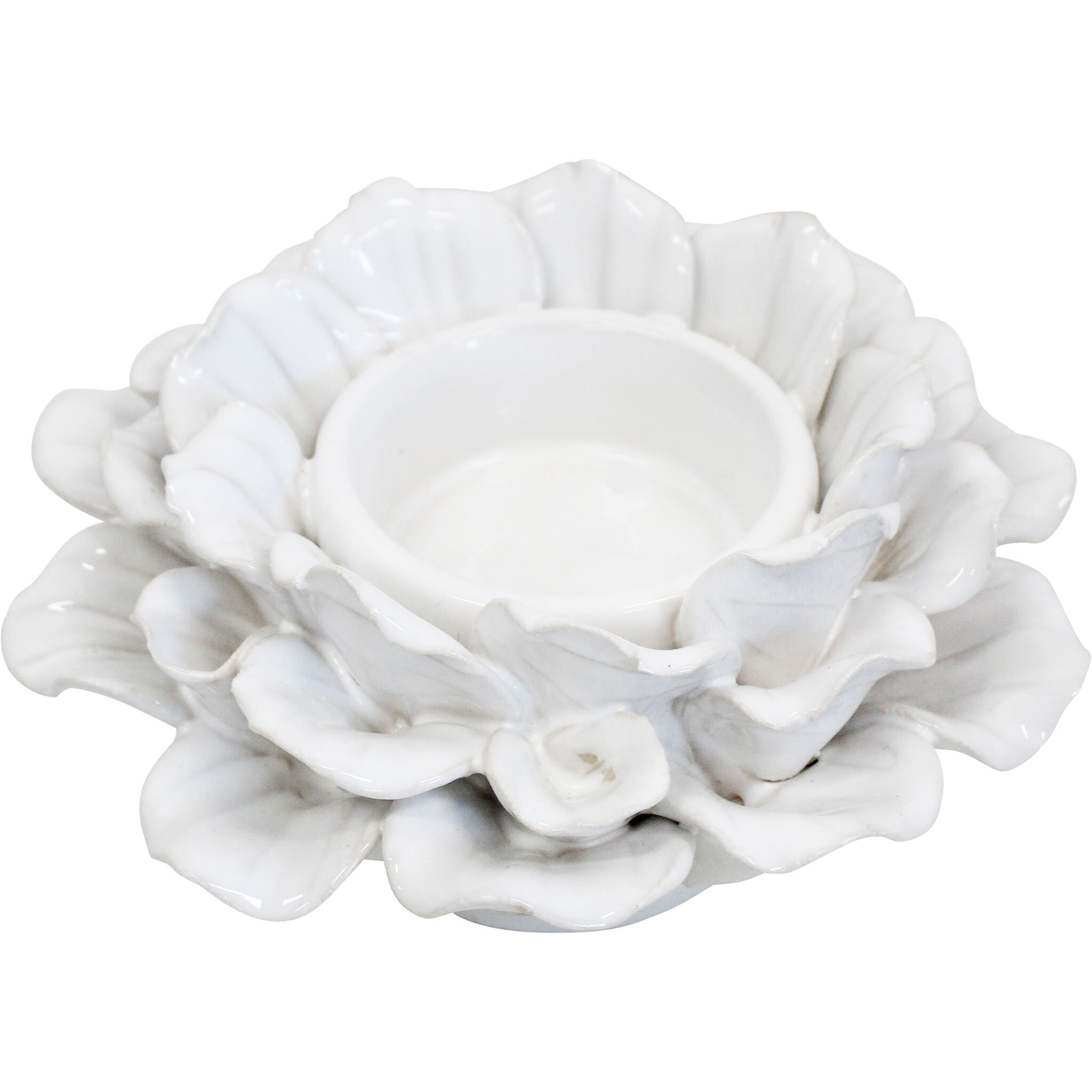 Echeveria Tealight Ivory