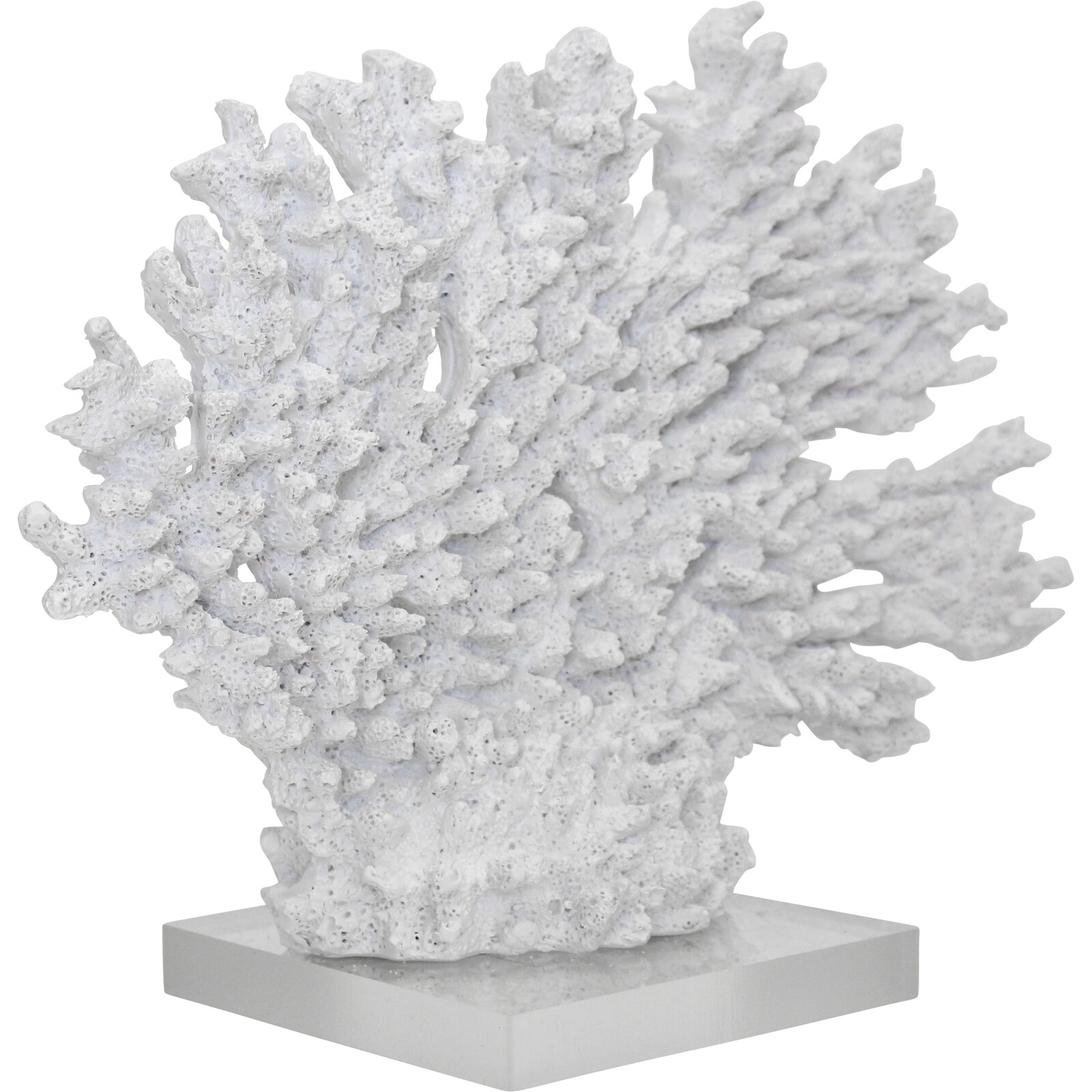 Coral Branches White