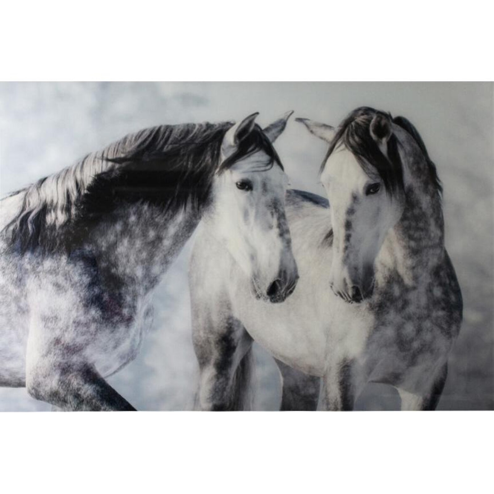 Glass Print Dapple Horses