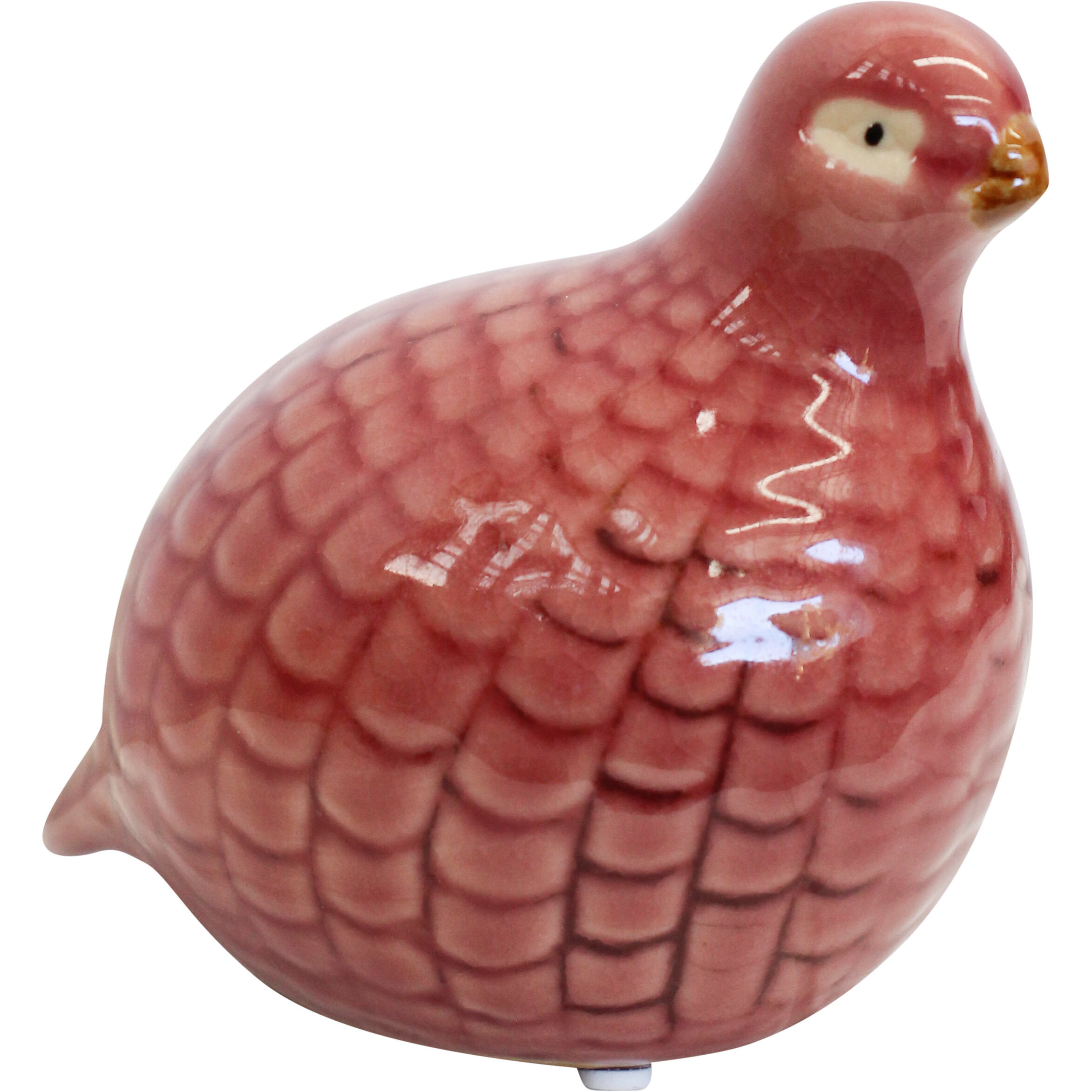 Guinea Quail Petite Peach