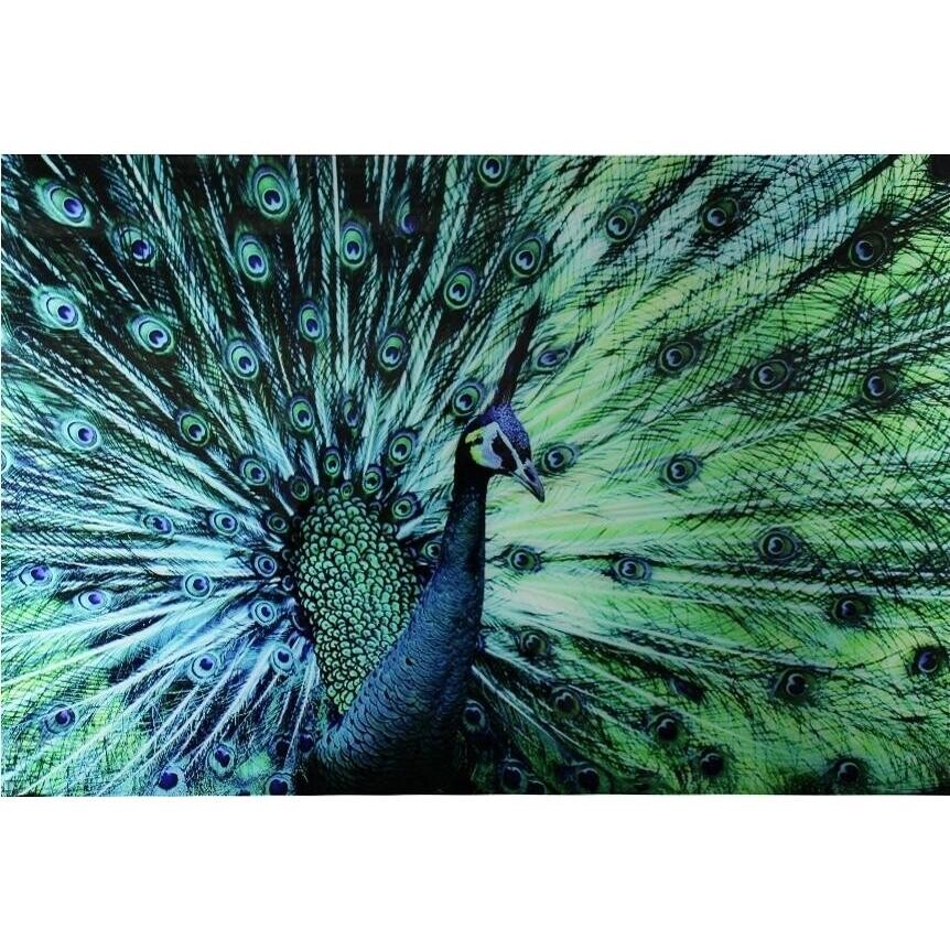 Glass Print Majestic Peacock