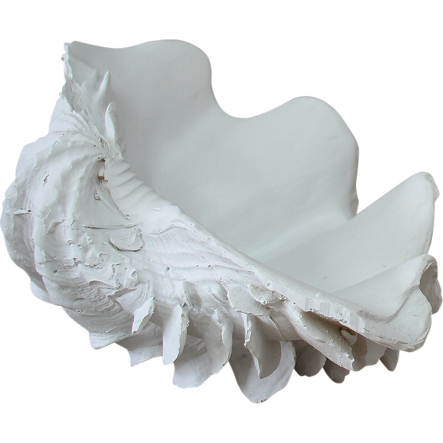 Clam Shell White Med