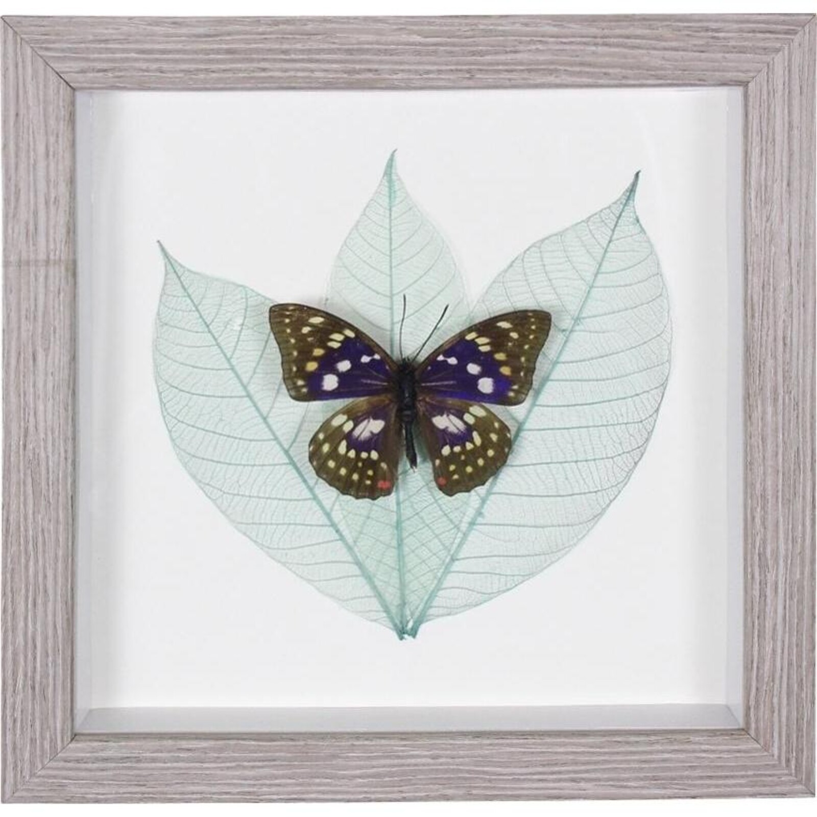 Framed Butterfly Wall Art 3