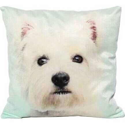 Cushion Scotty White