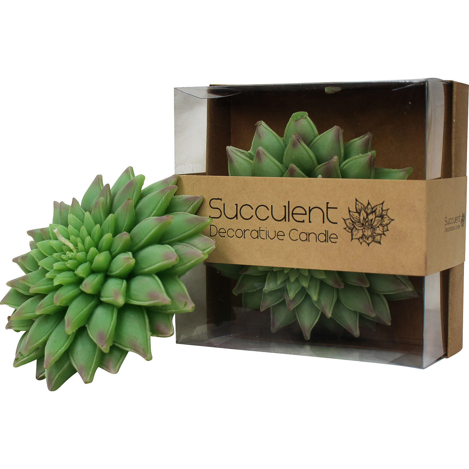 Candle Succulent Lrg A