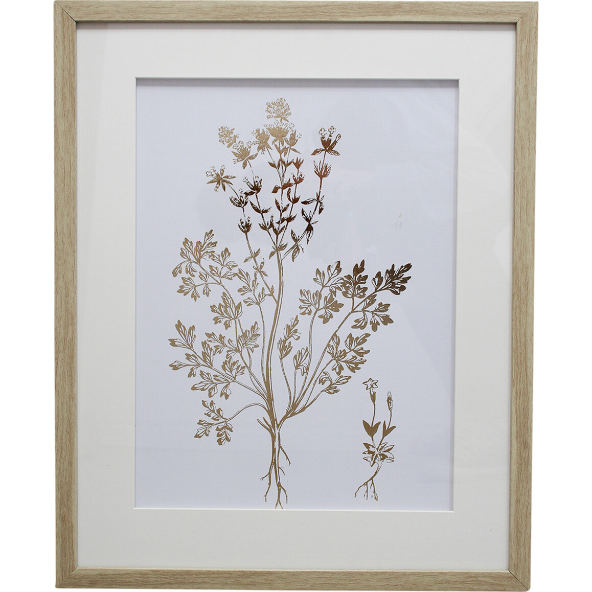 Framed Print Foliage 1