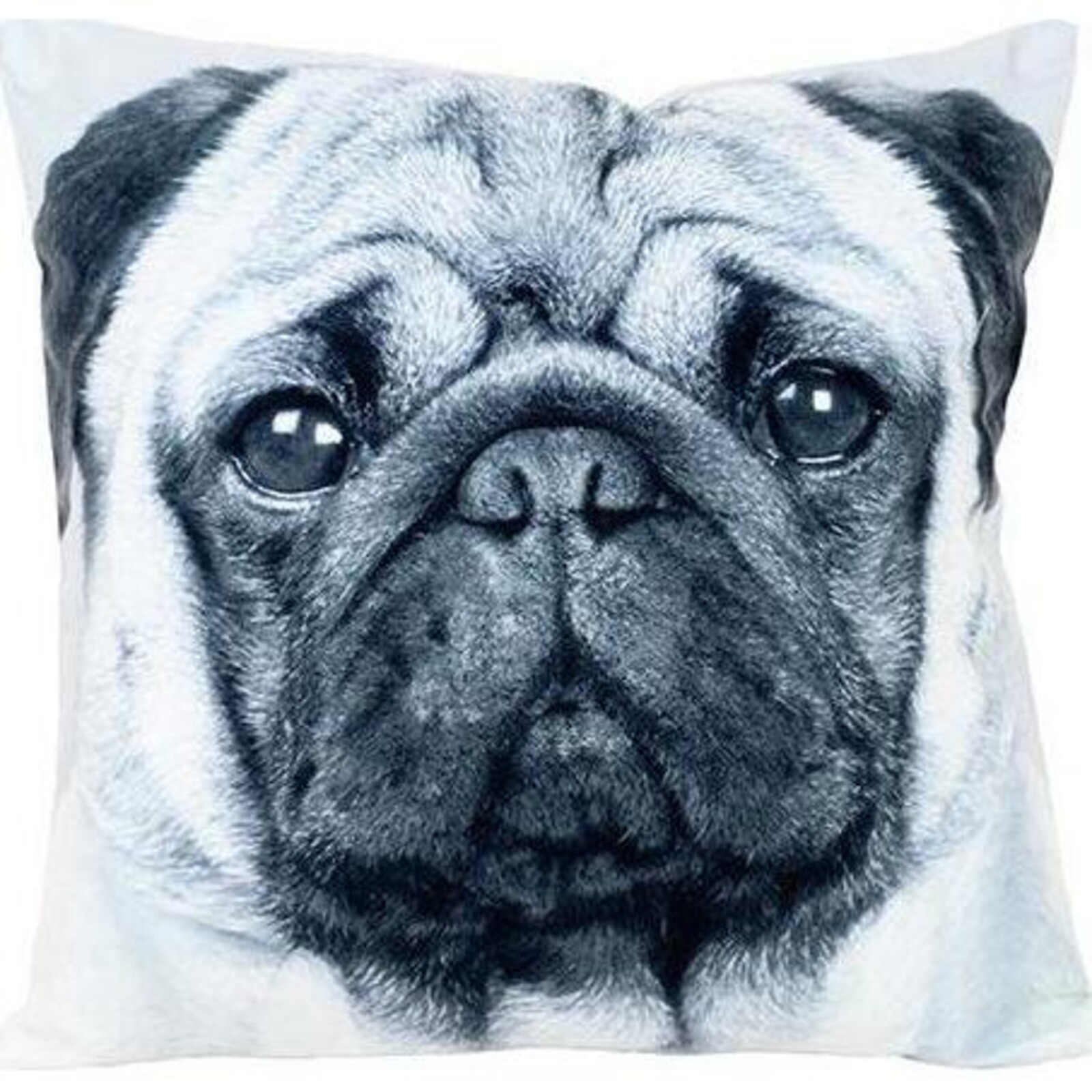 Cushion Pug Puppy