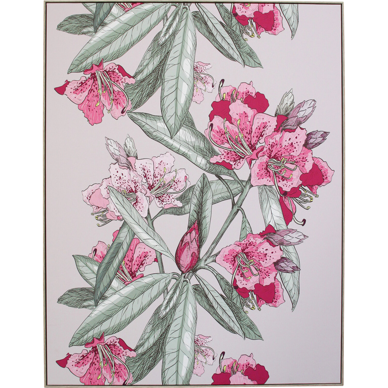 Framed Canvas Blush Oleander