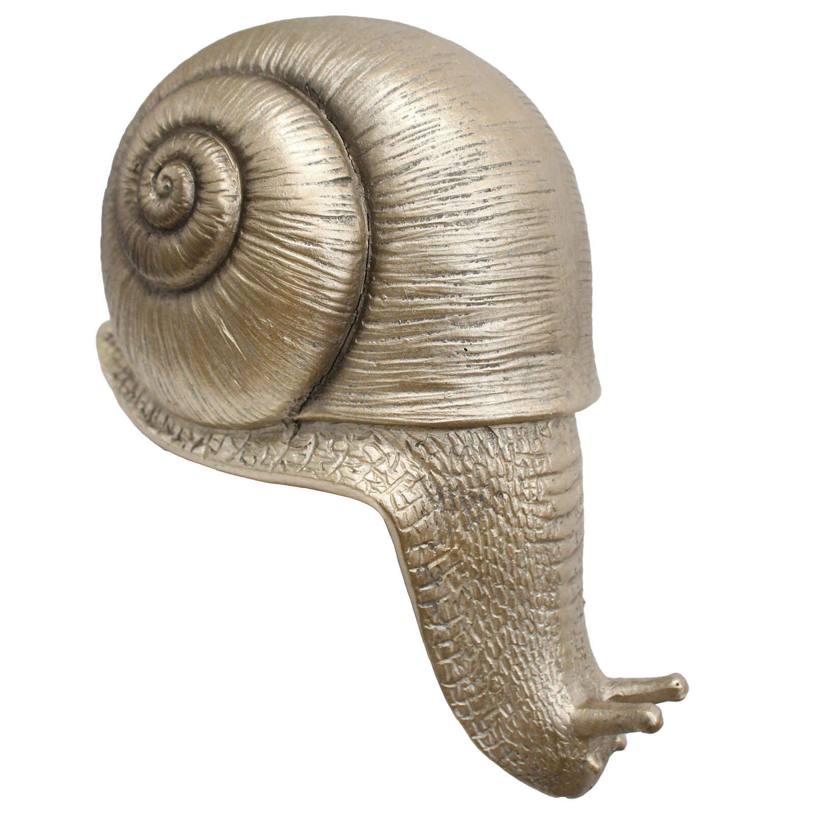 Snail Ledge Gold