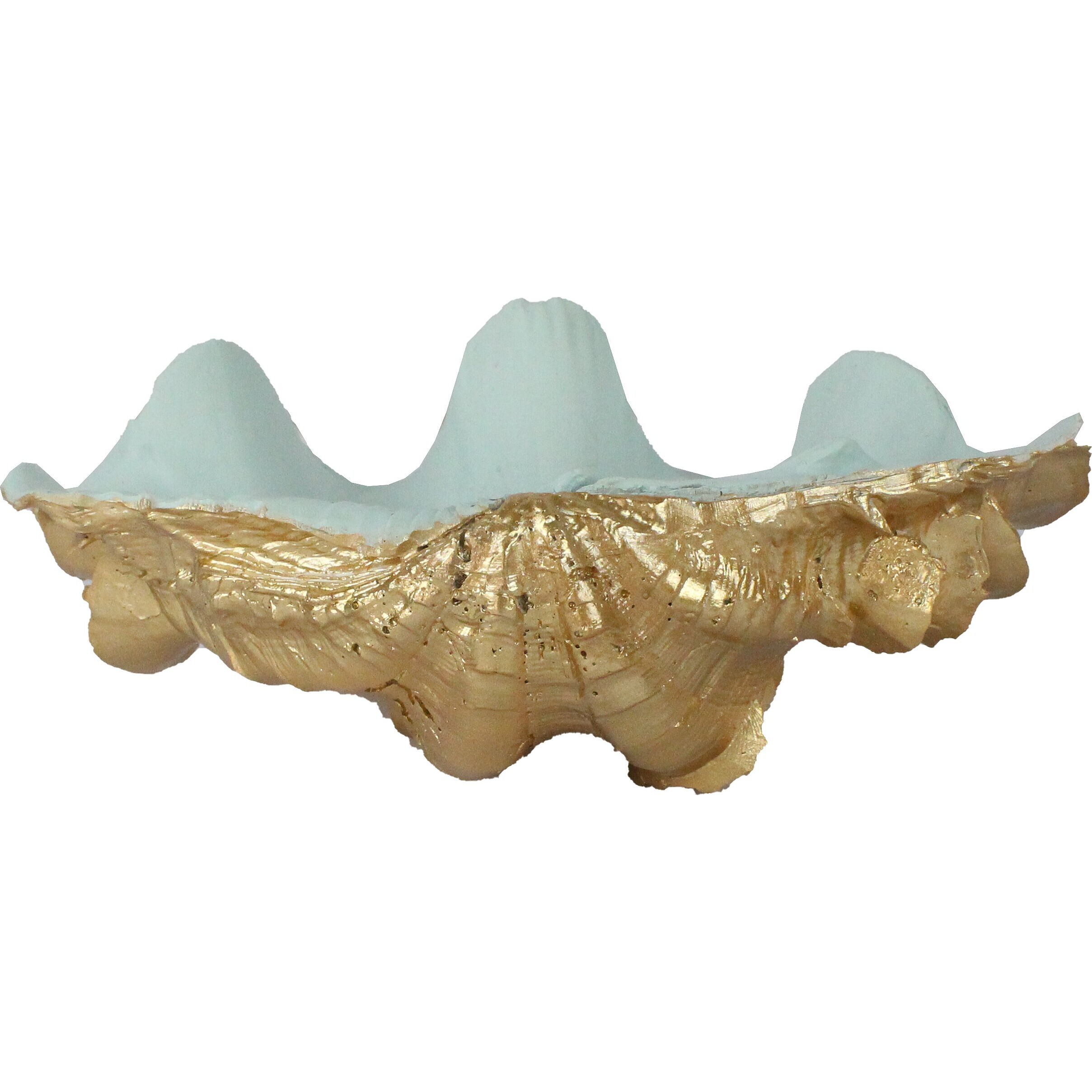 Clam Shell Blue/ Gold Sml