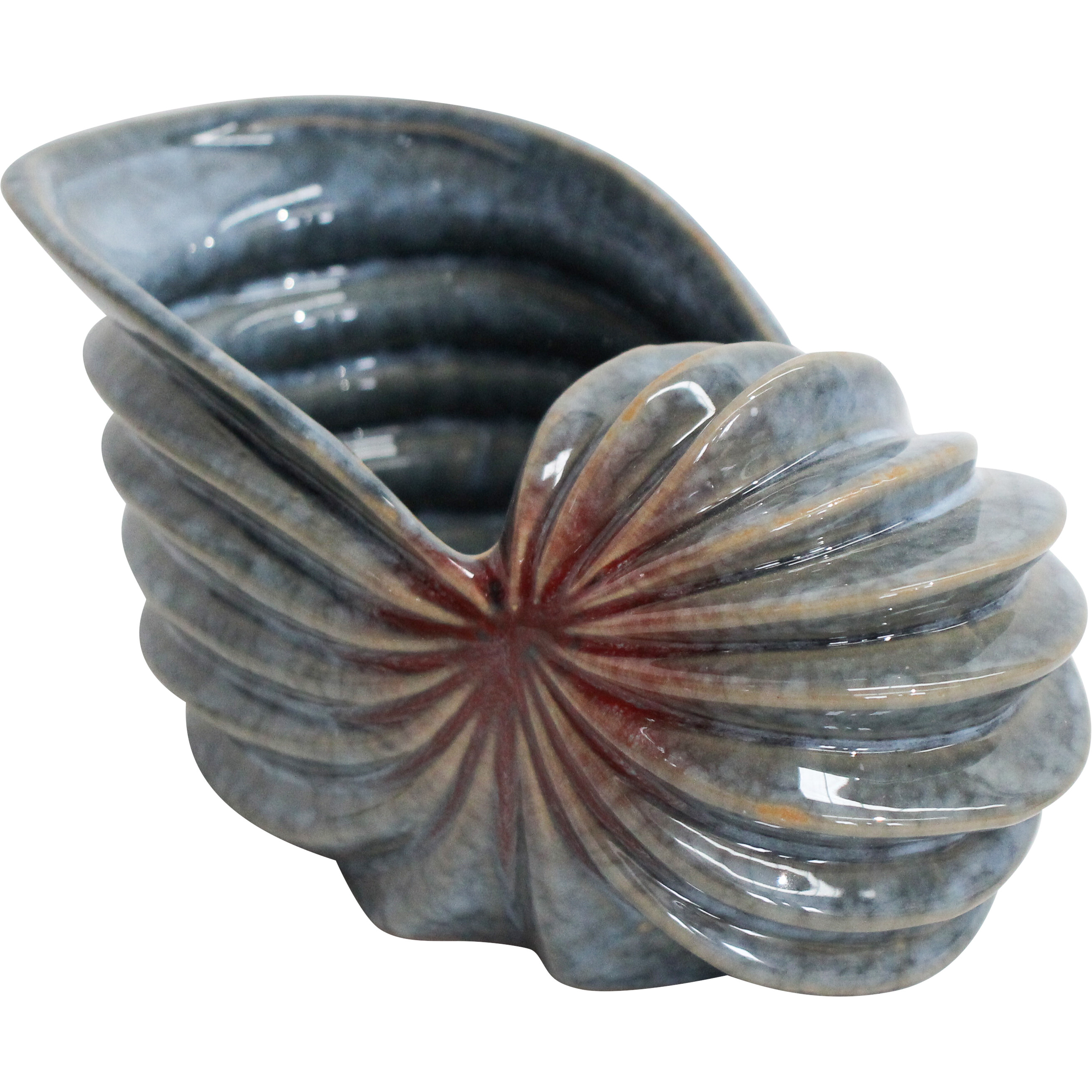 Tulip Shell Bowl