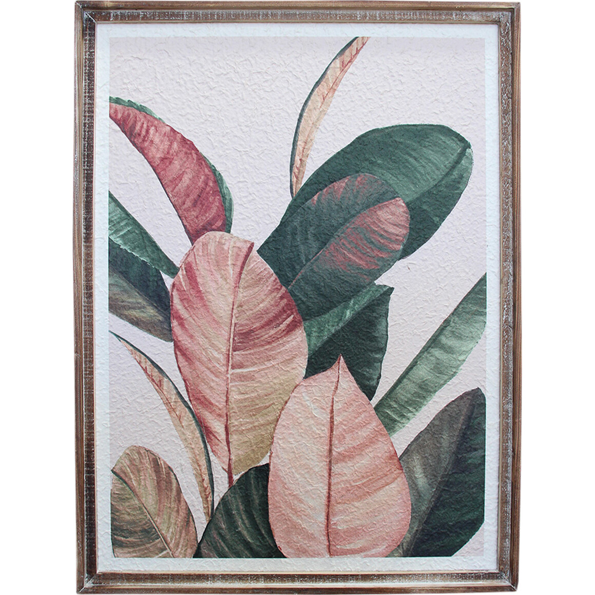 Framed Rubber Plant 1