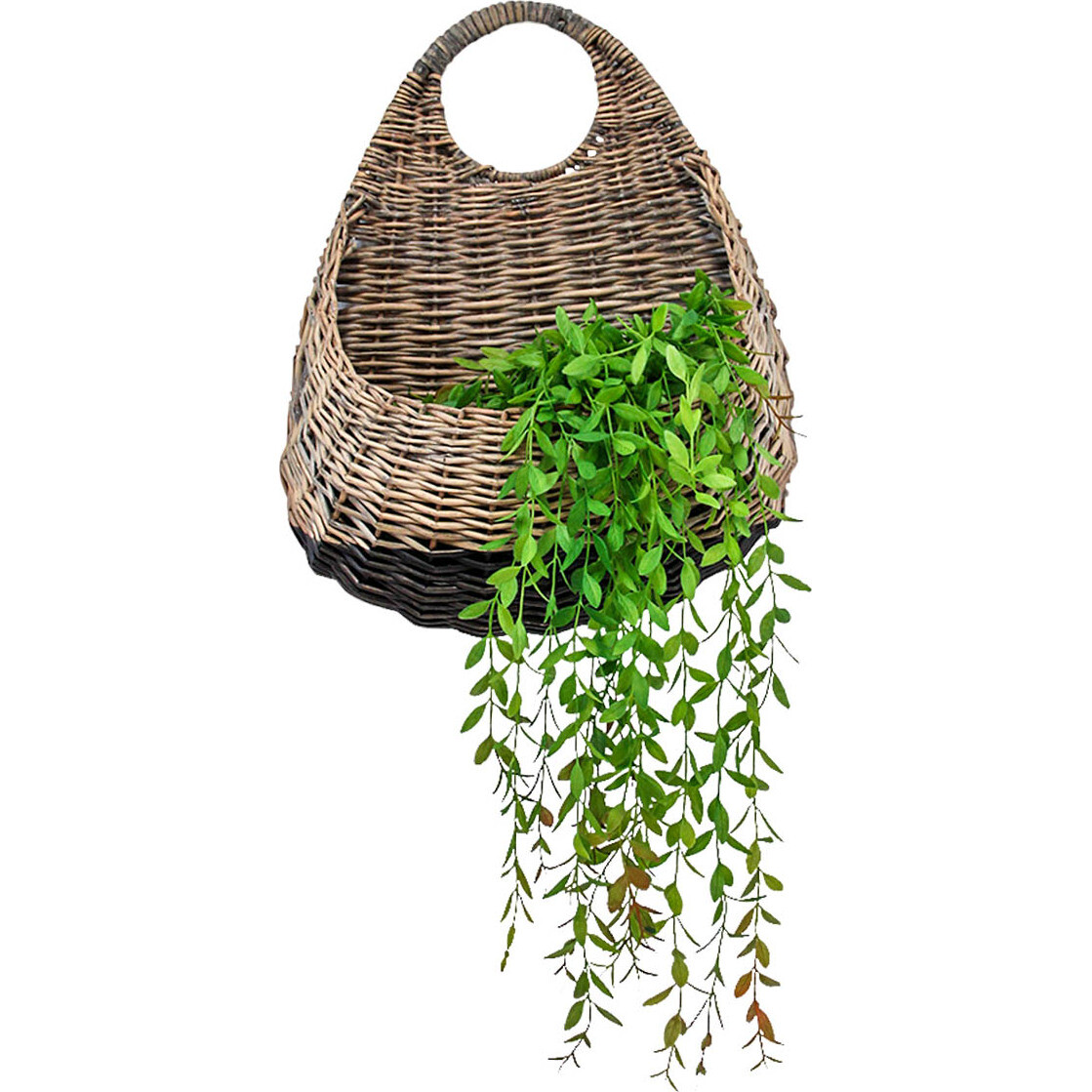 Hanging Basket Curve Black Dip