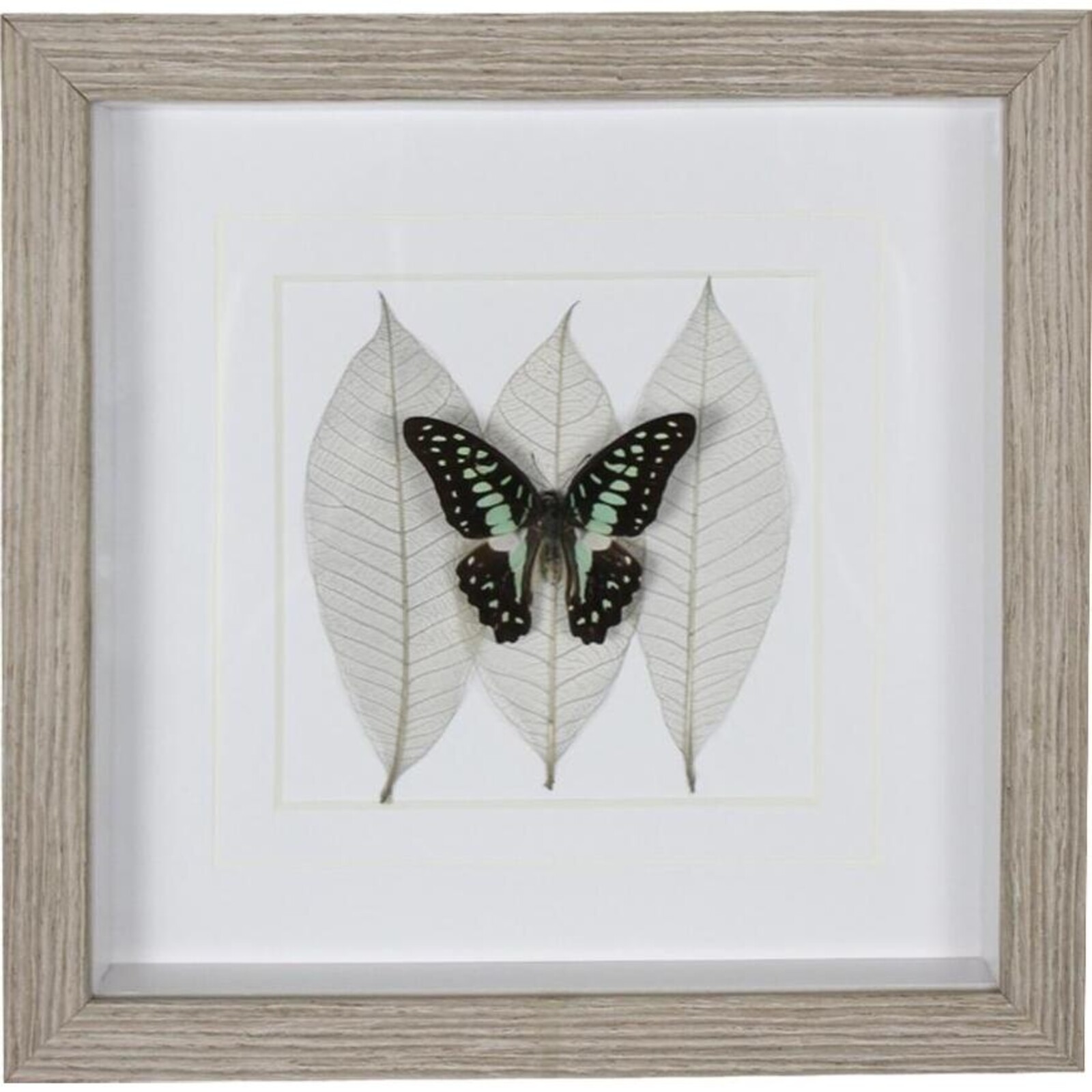 Framed Butterfly Wall Art 1
