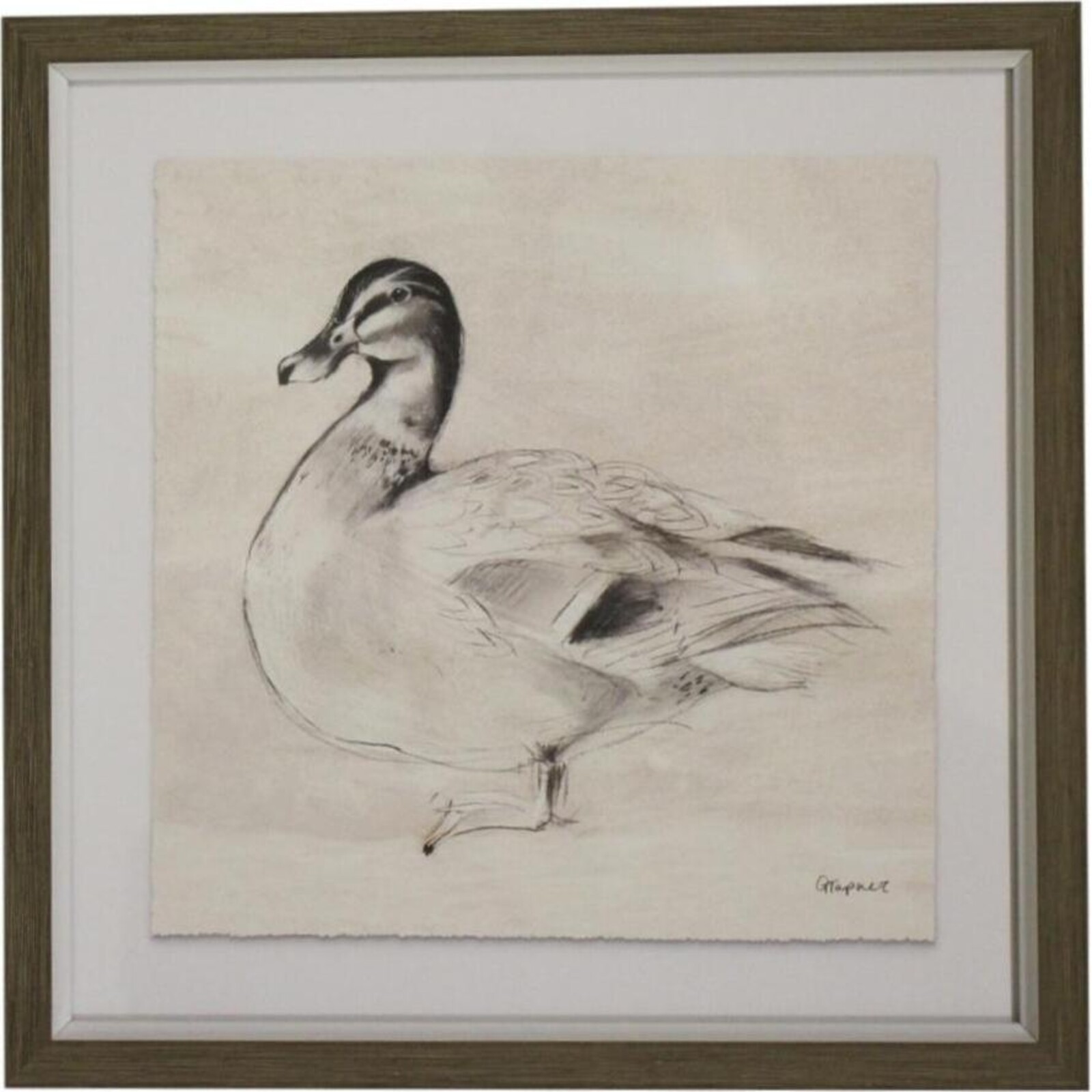 Framed Print Duck Drawing