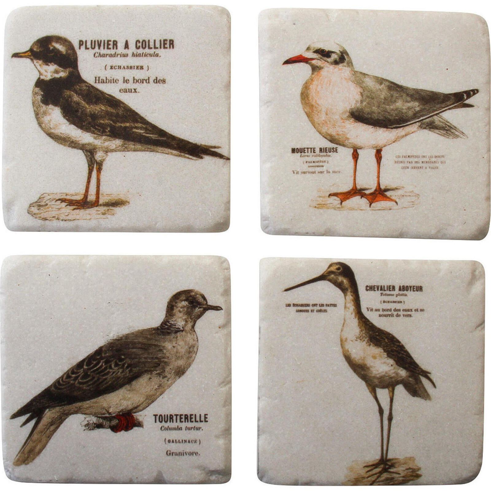 Coasters (db) Birds S/4