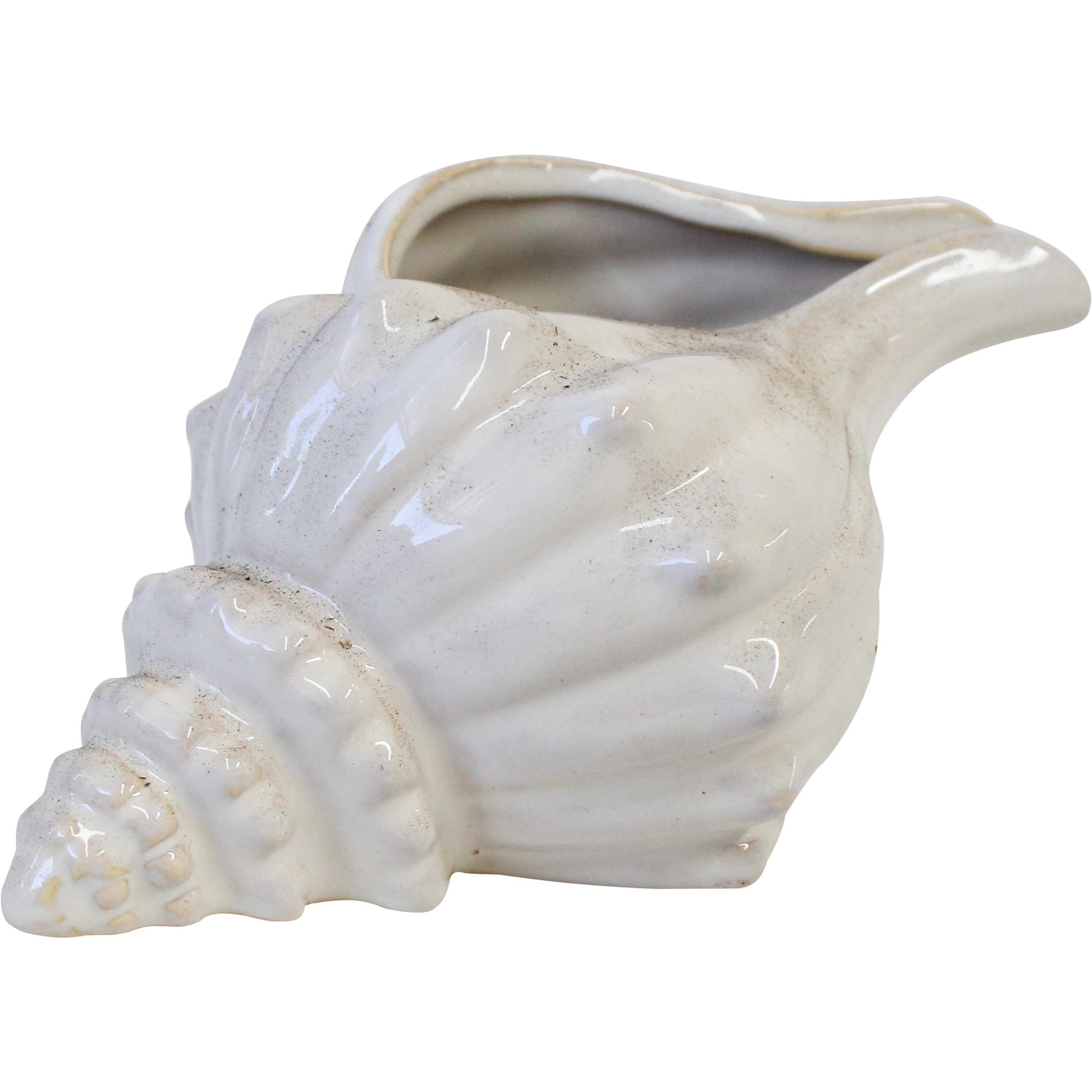 Shell Planter Sea Ivory