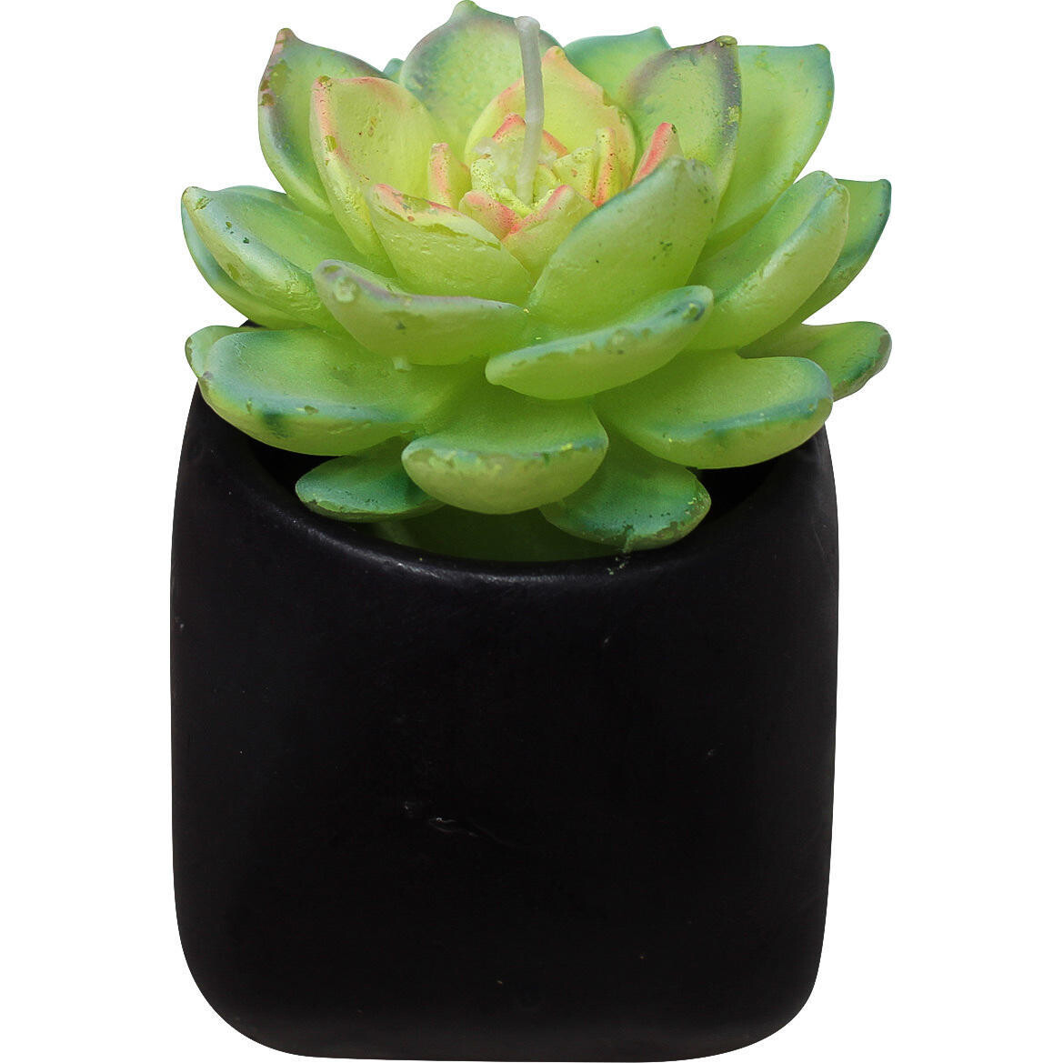 Candle Succulent Pot-C Med