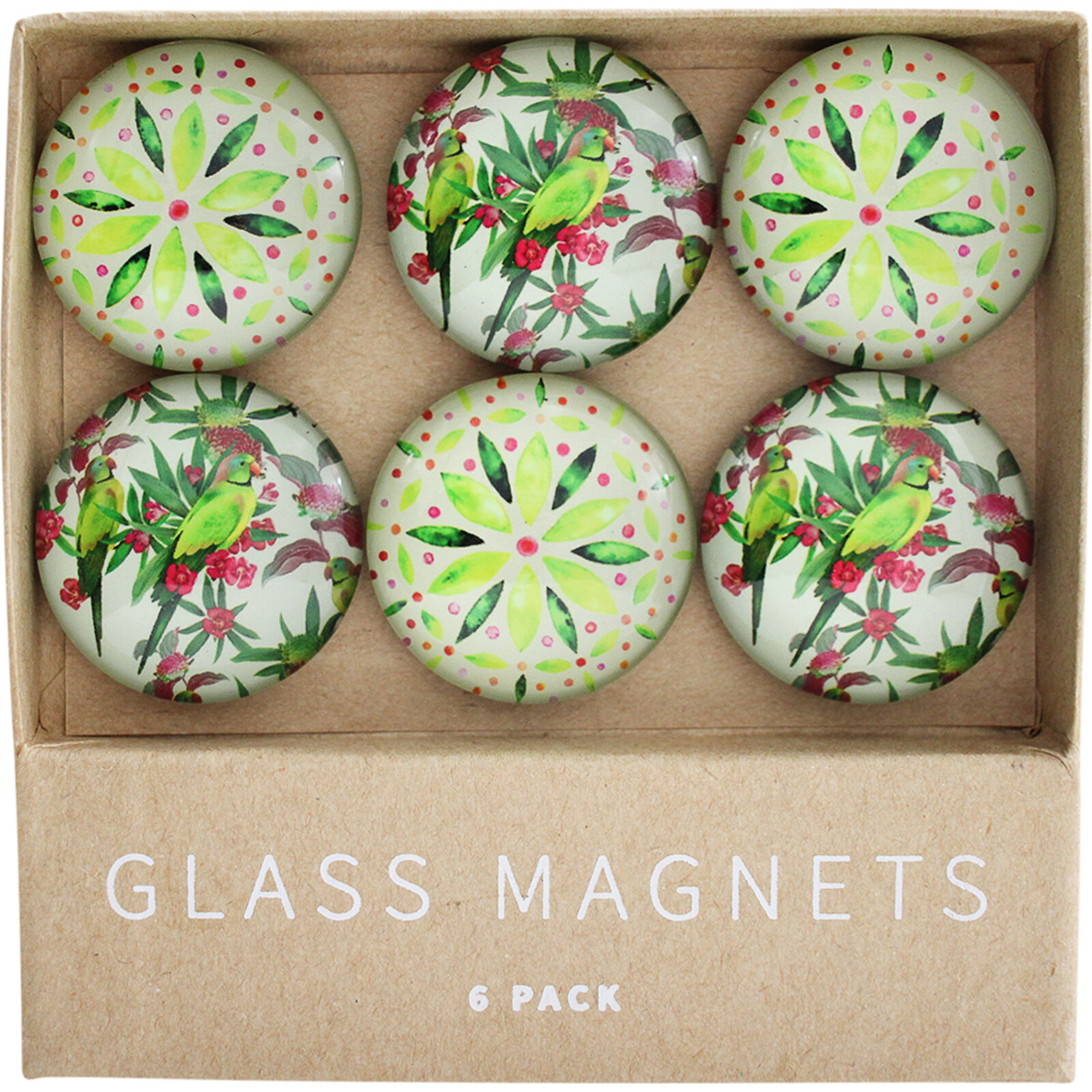 Glass Magnets Forest ParrotS/6