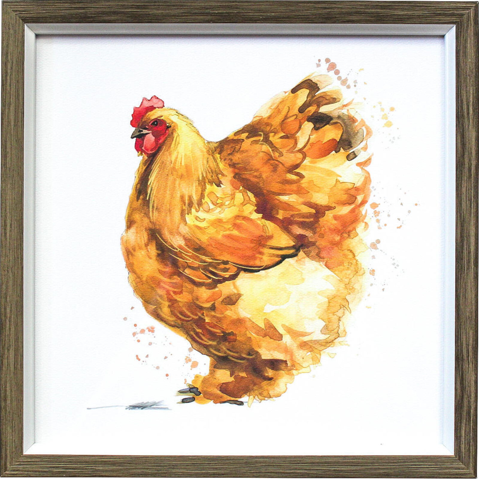 Framed Print Chicken Orpington