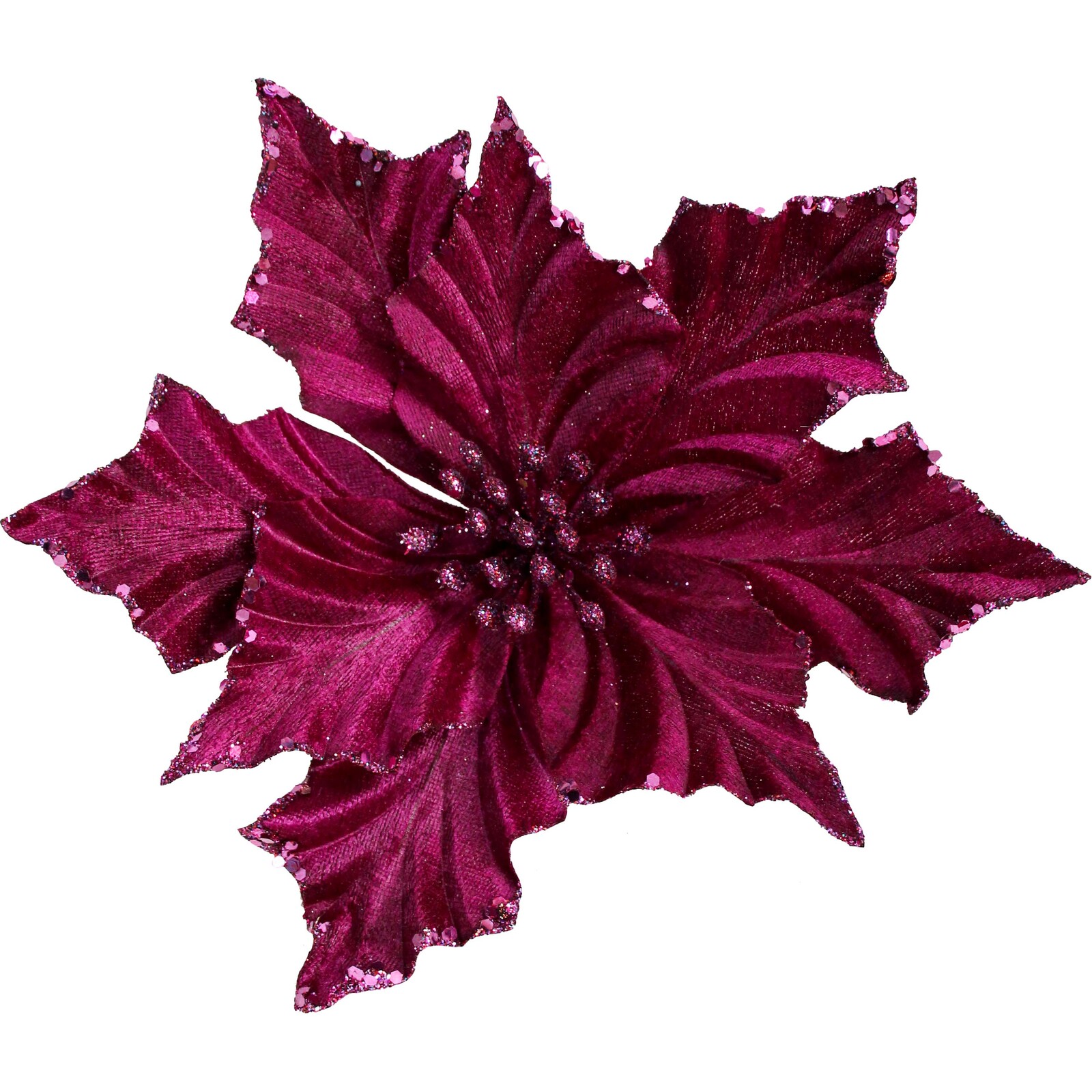 Velvet Flower Berry