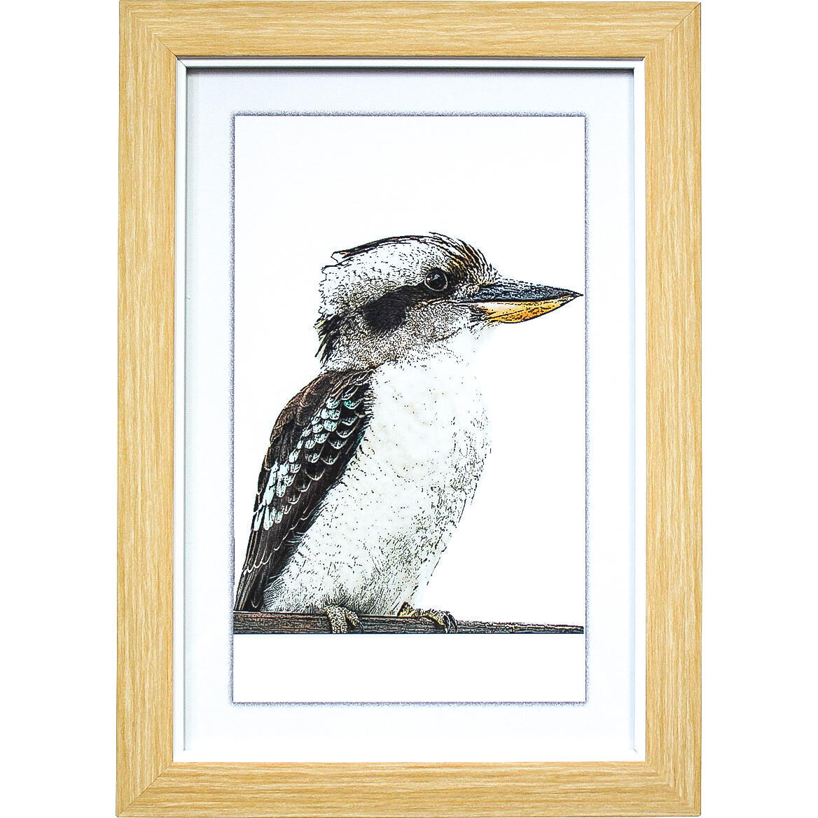 Framed Print Kookaburra