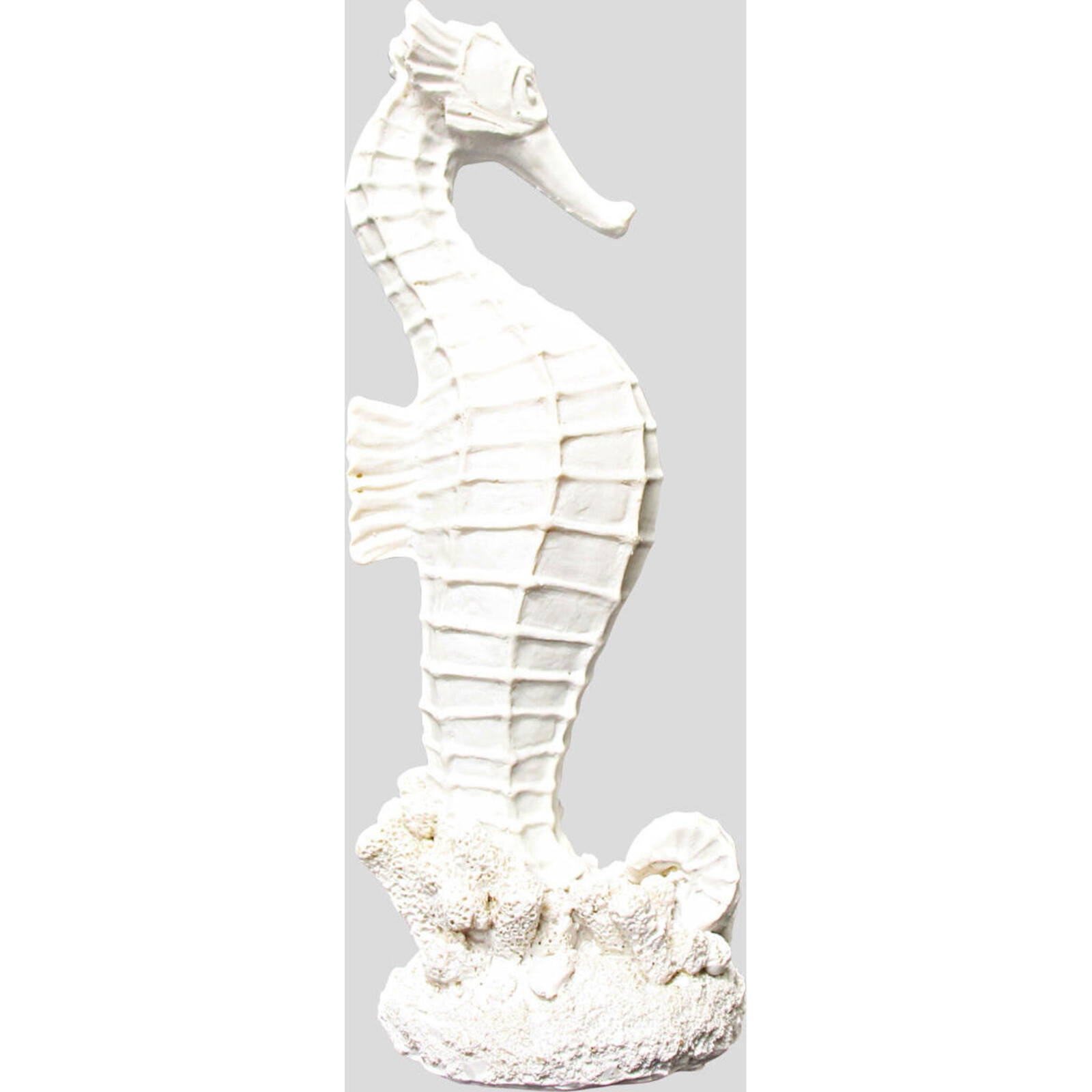 Seahorse Standing