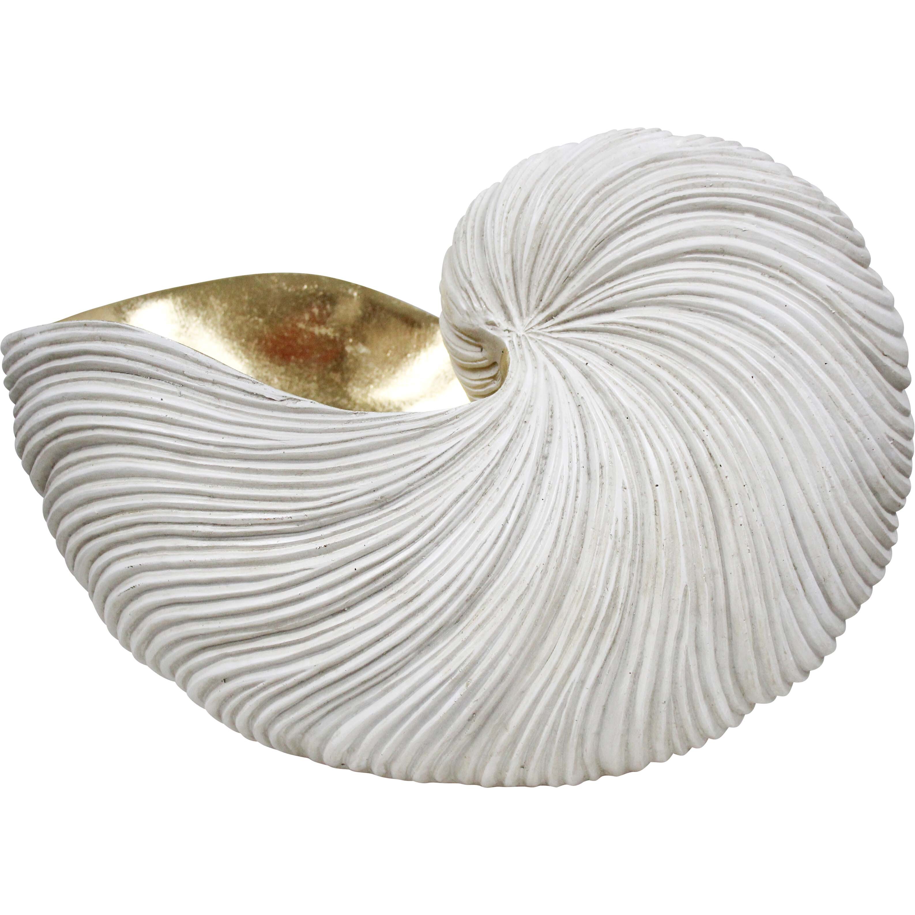 XL Nautilus Shell Aged White/Gold