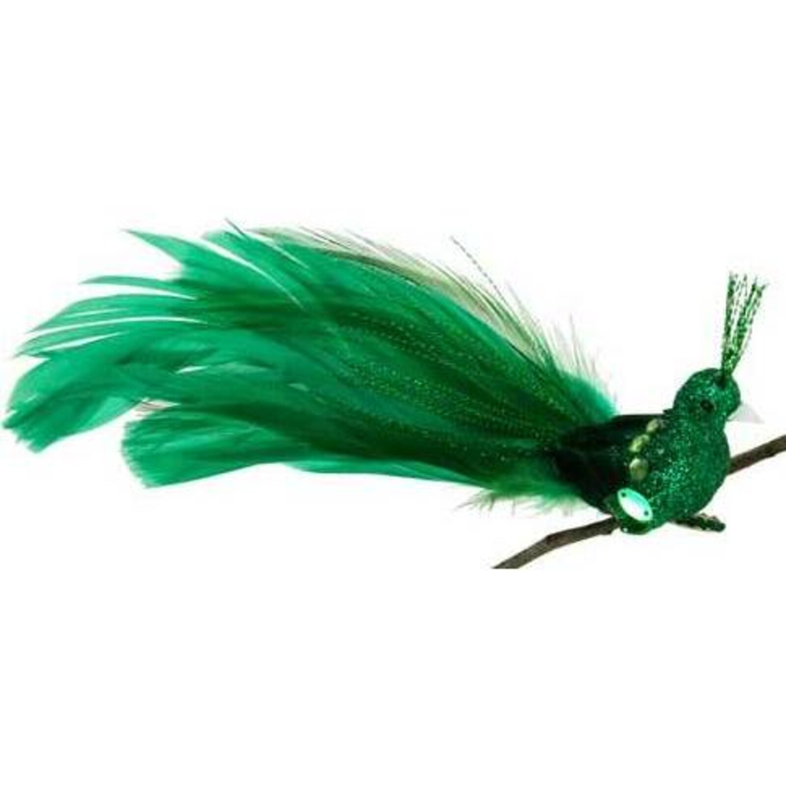 Clip Bird Green Peacock