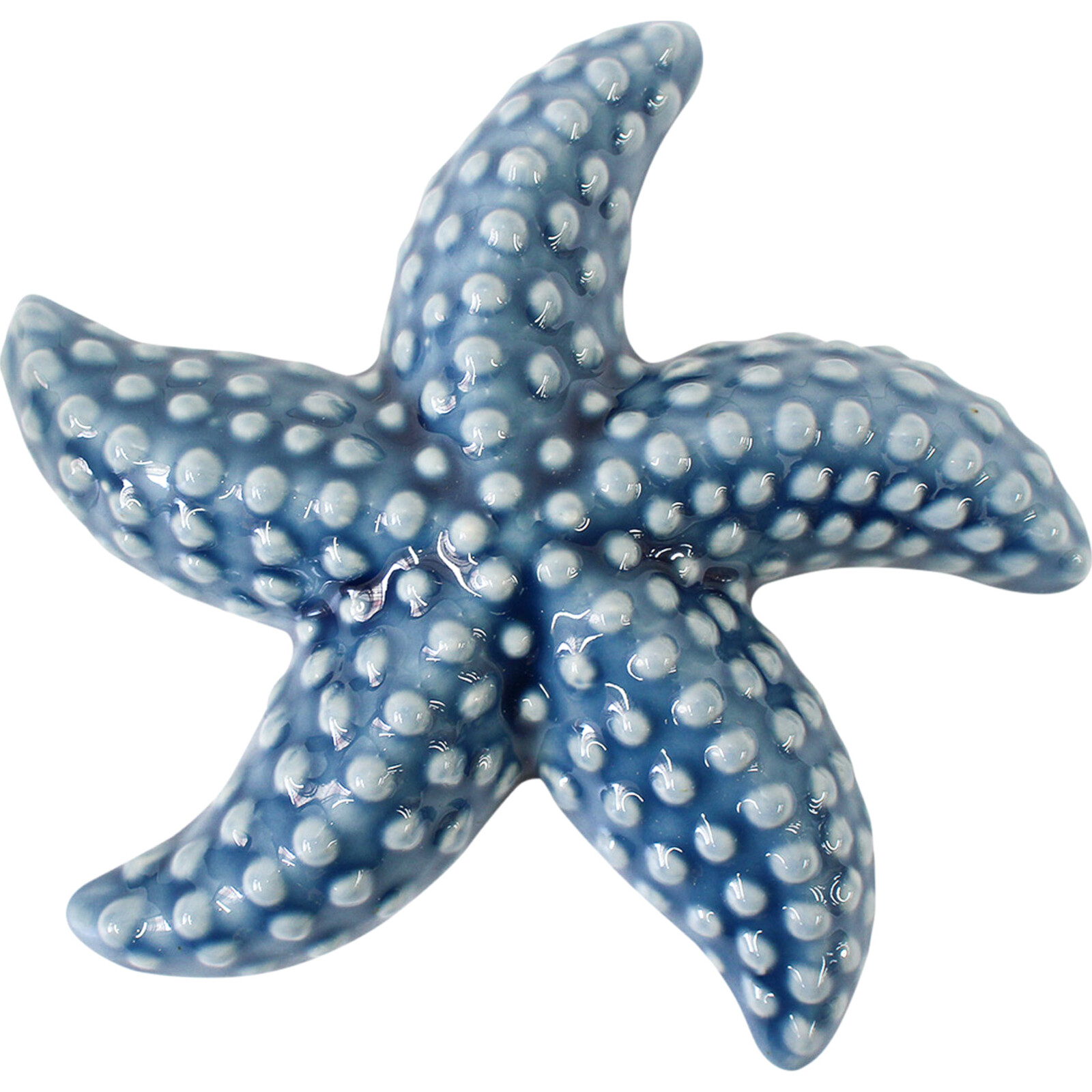 Starfish Med Blue