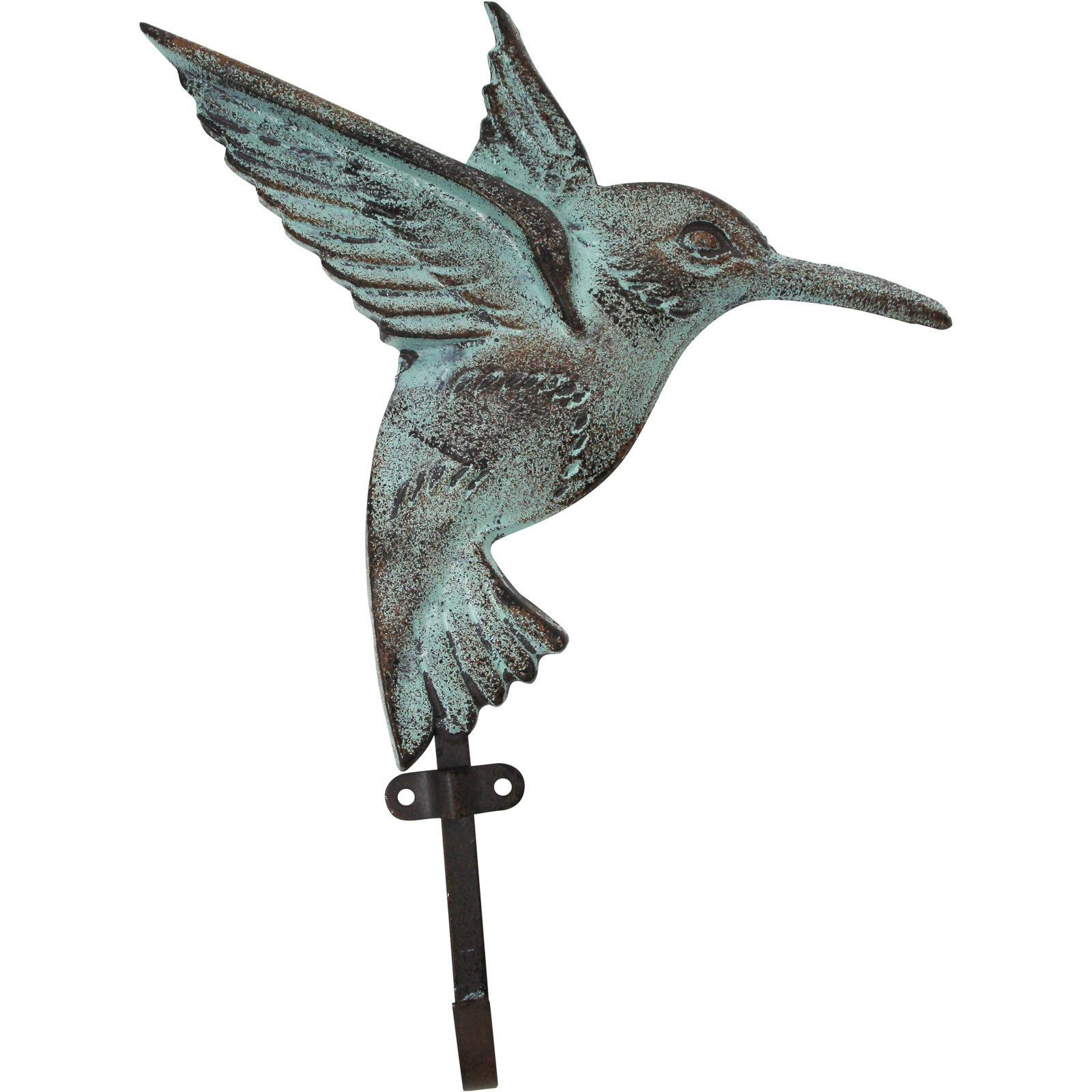 Hook Hummingbird
