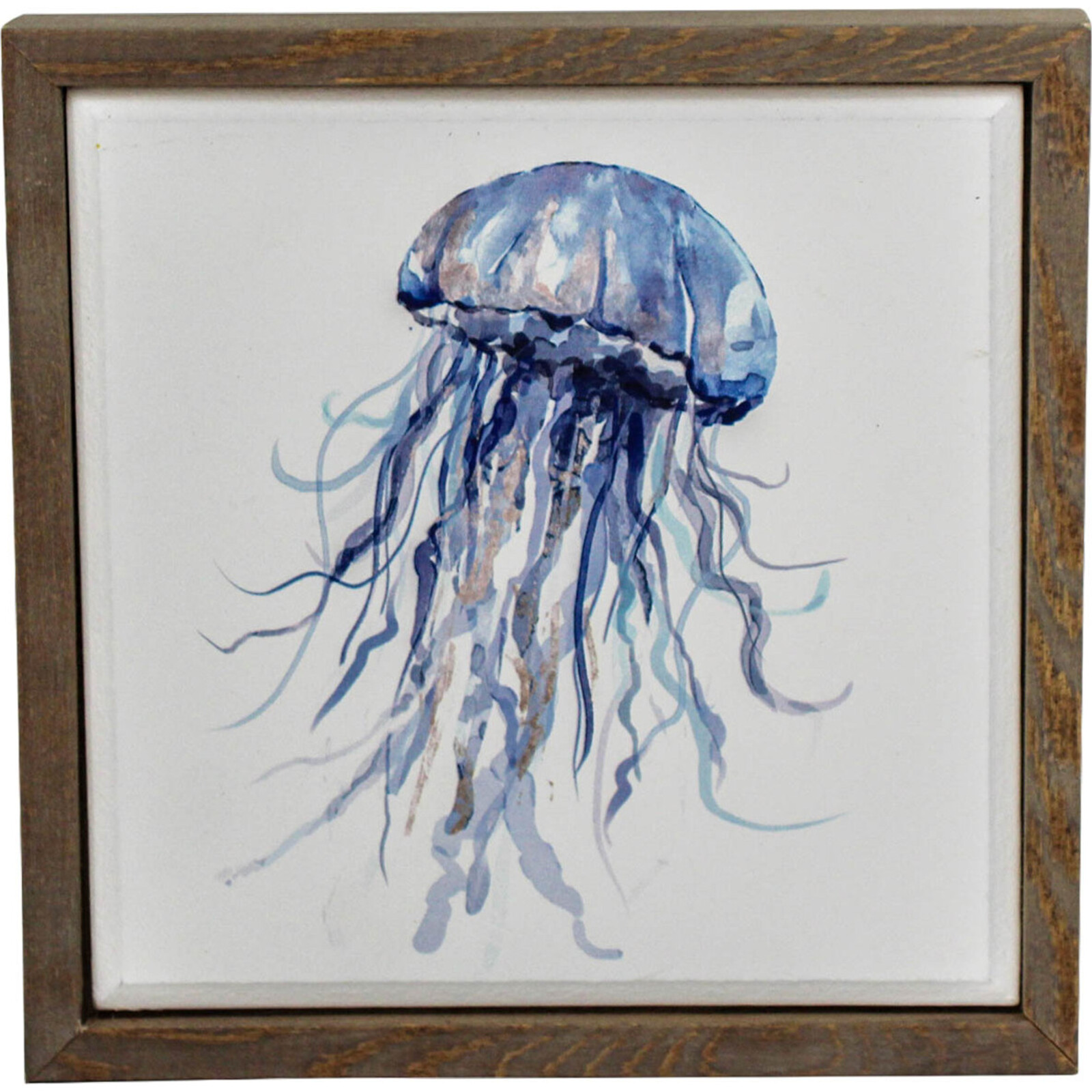Framed Jellyfish Sml