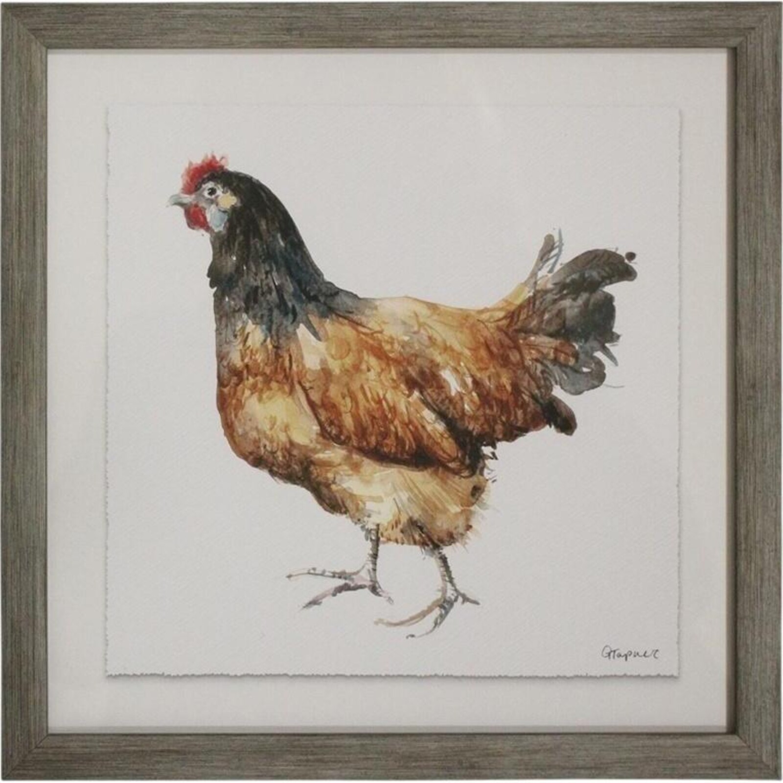 Framed Print Brown Chicken