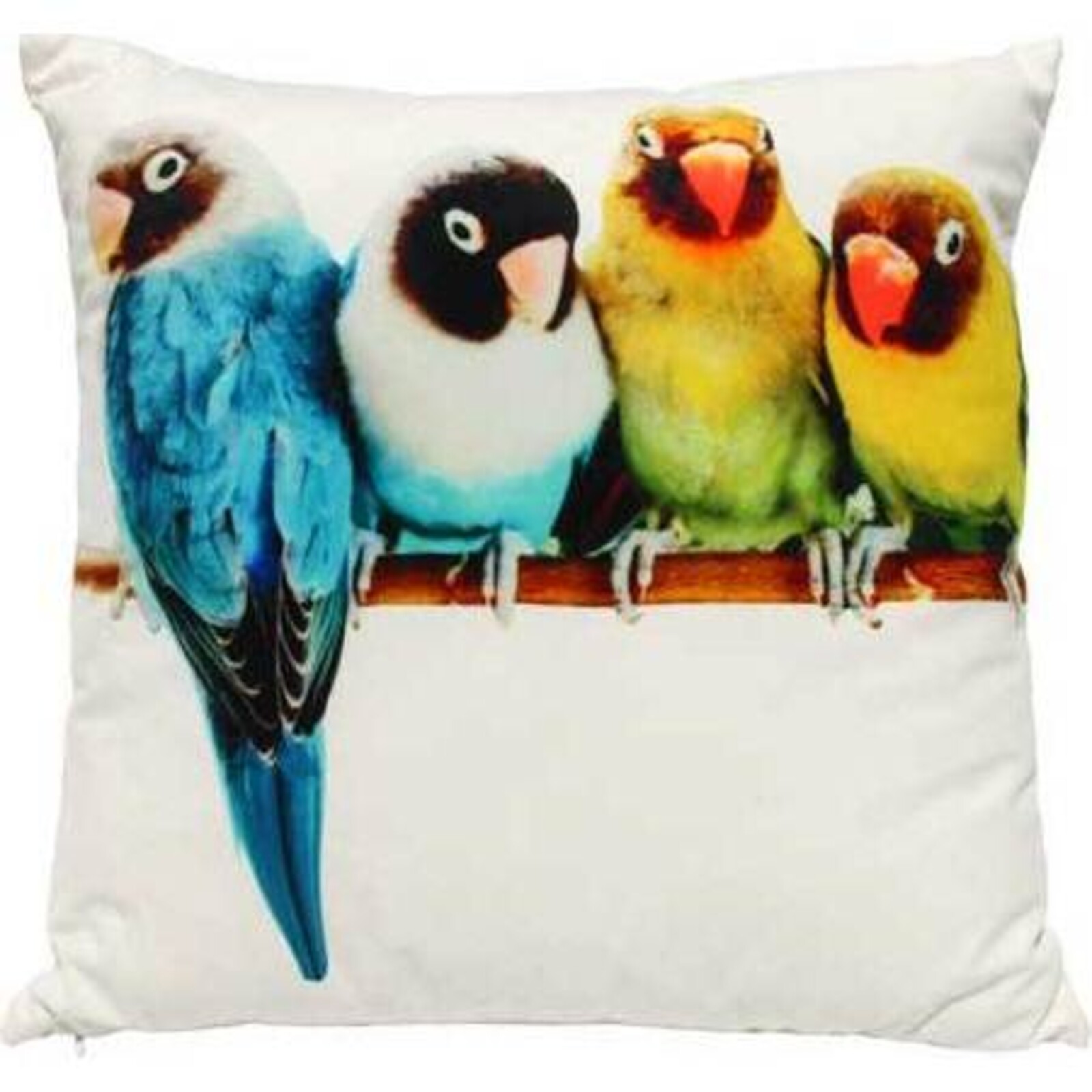 Parrot/Bird Cushion